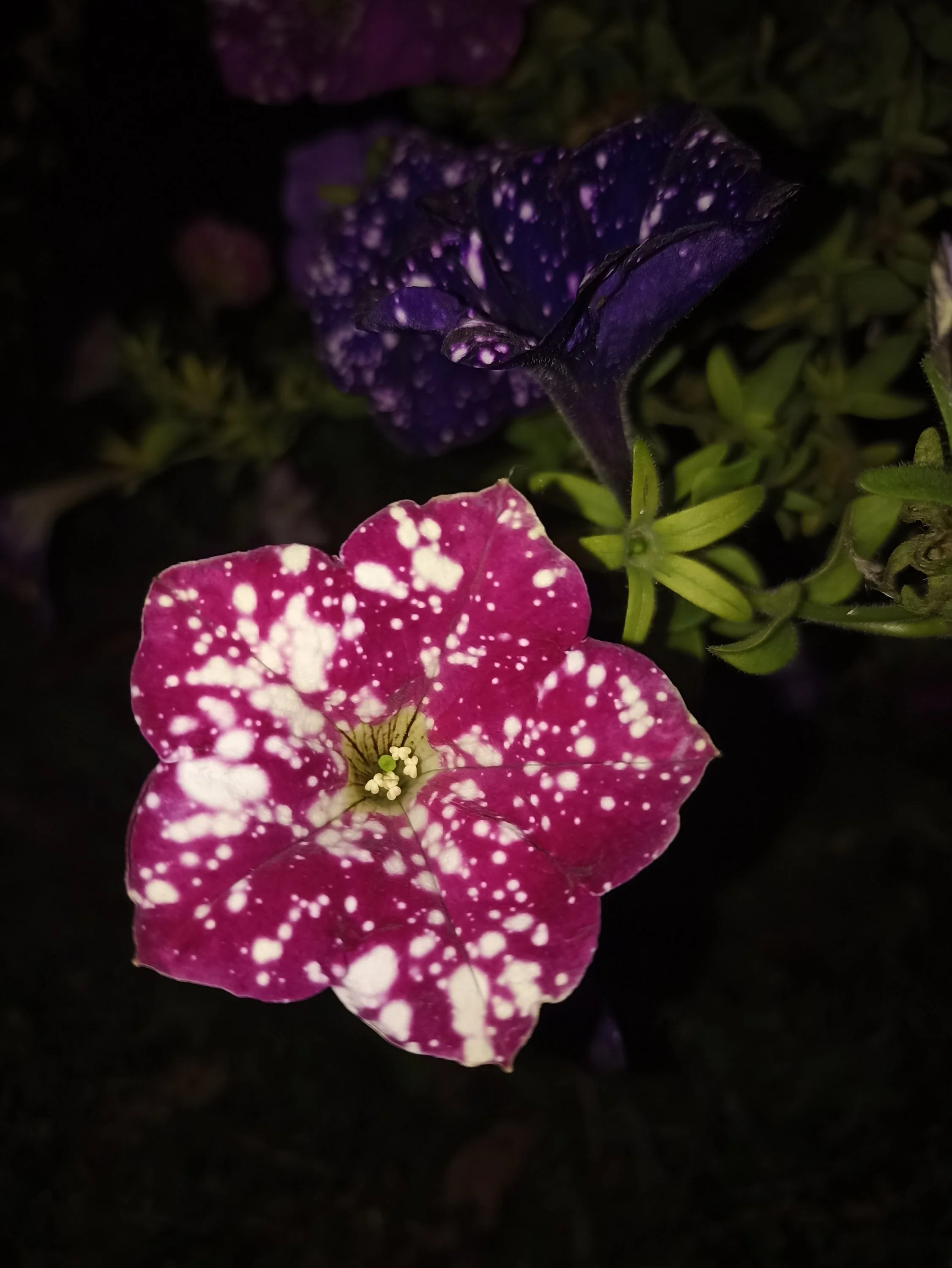 2022-10-18 20-34-47.webp