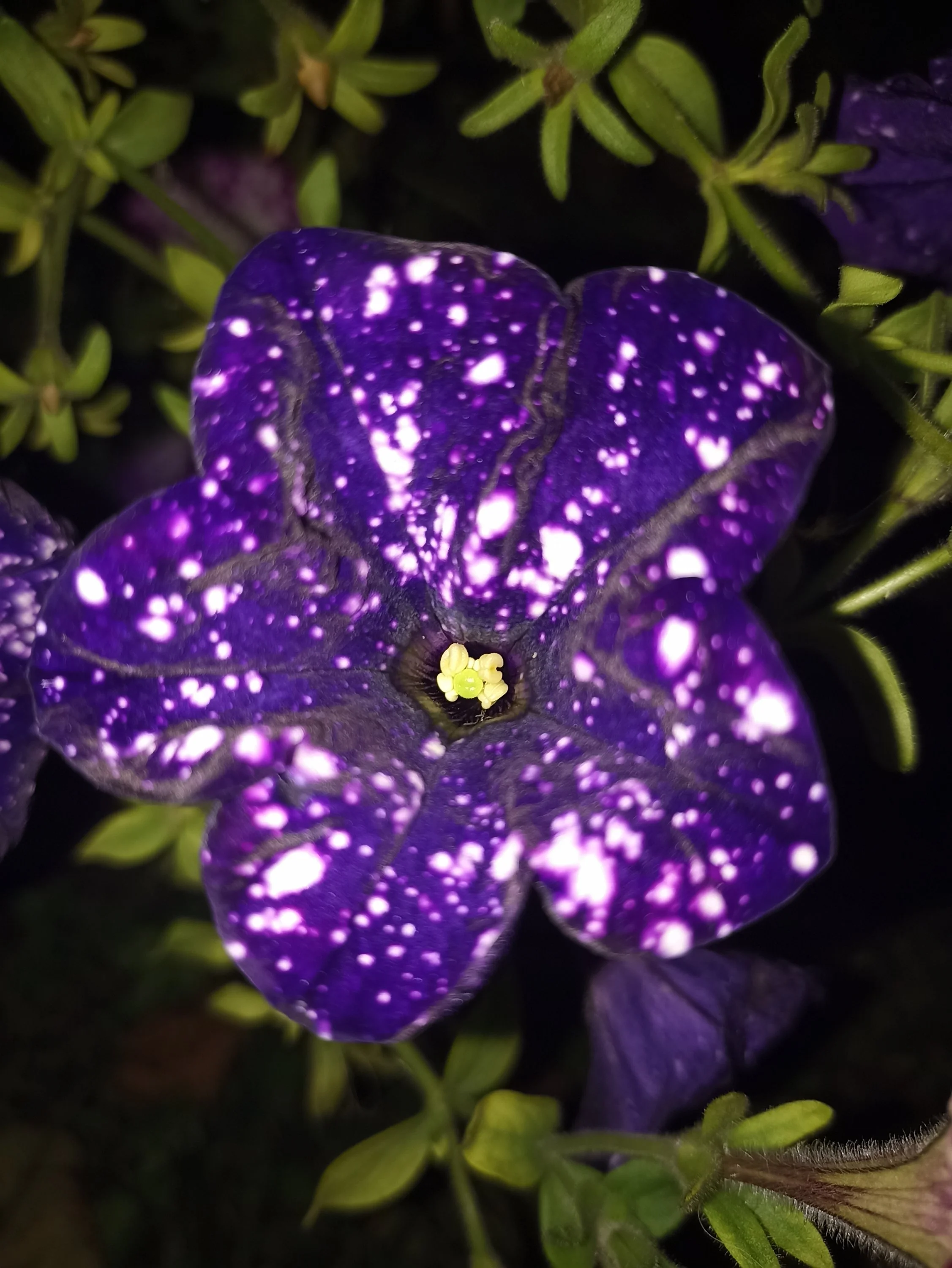 2022-10-18 20-34-58.webp