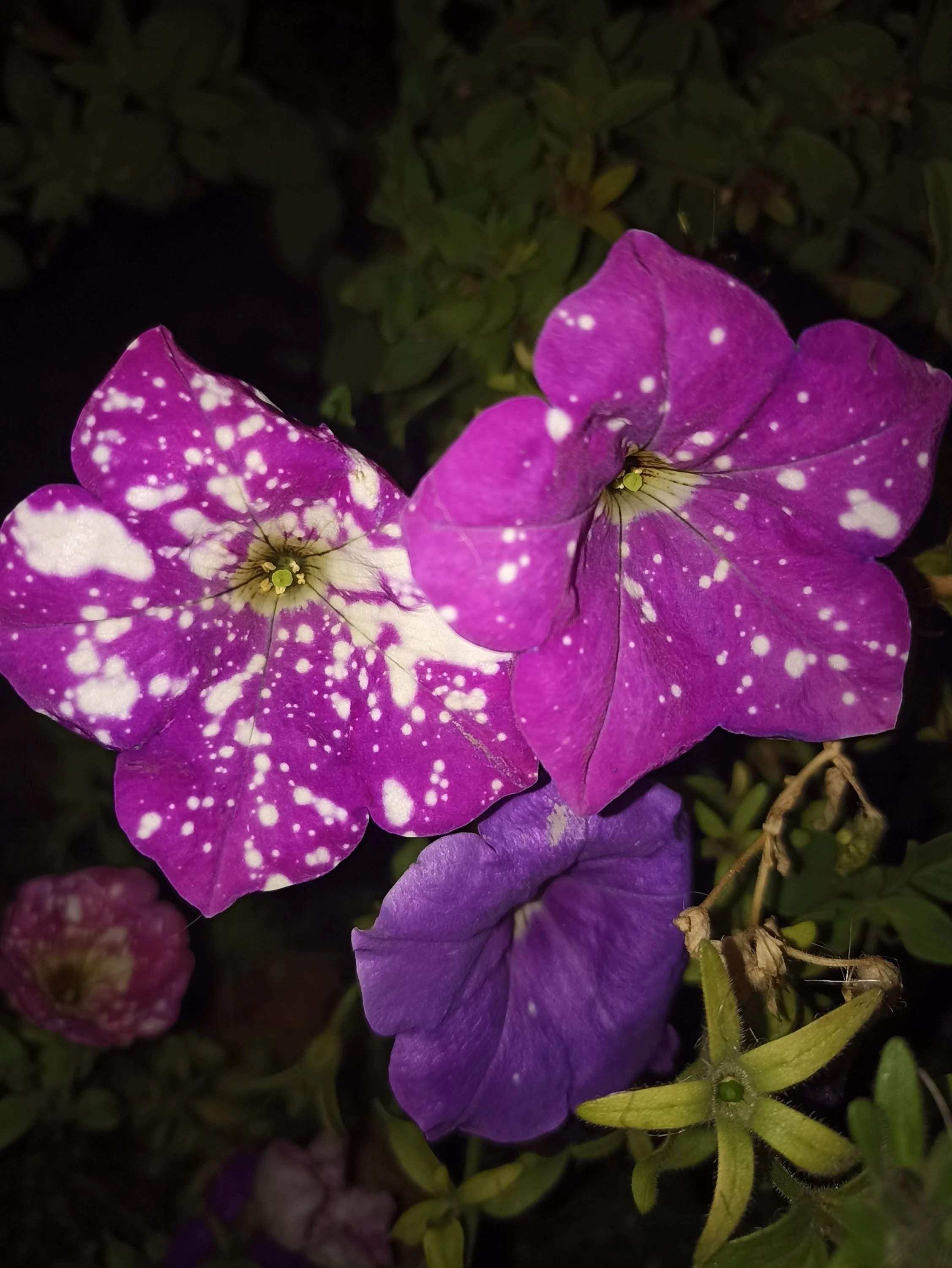 2022-10-18 20-35-07.webp