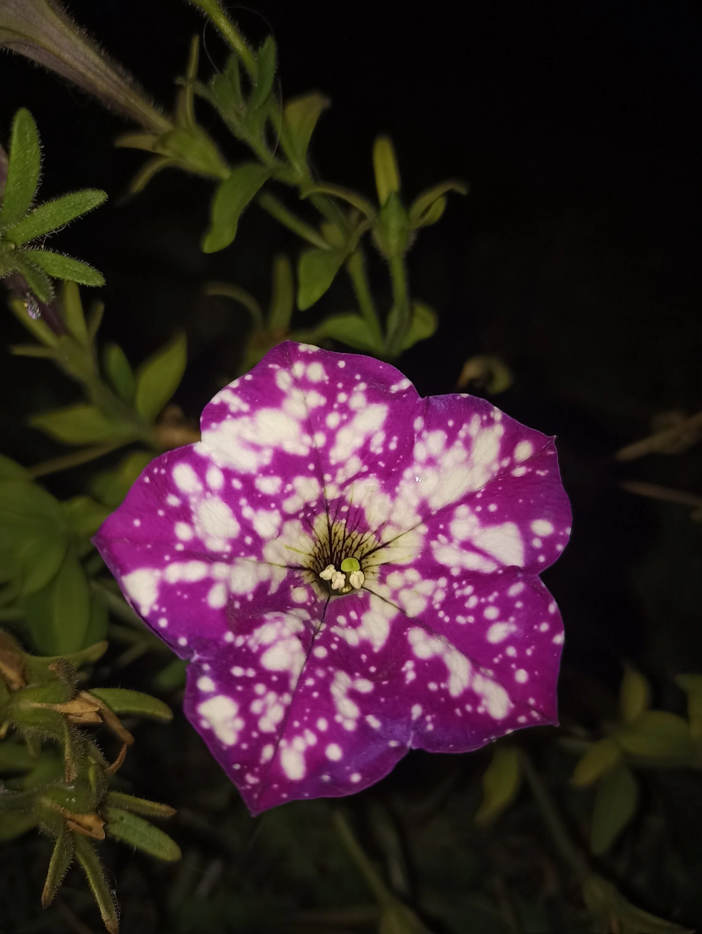 2022-10-18 20-35-38.webp