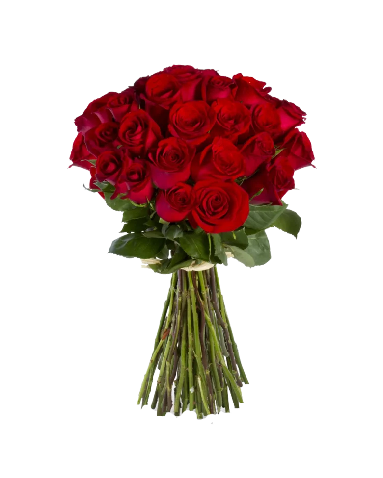 2022-12-11-22-57-37 (1).webp