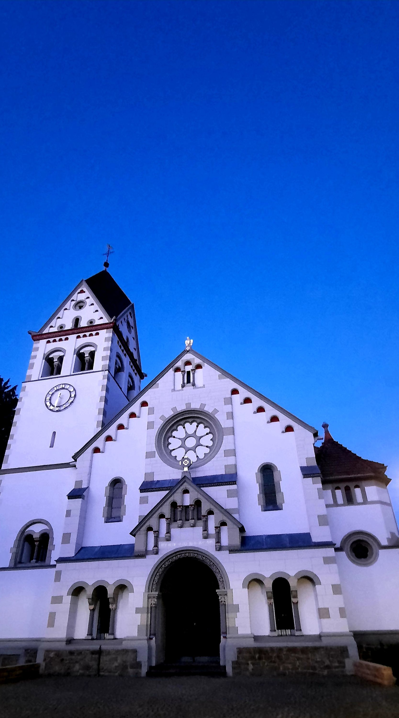 20220310_063125.jpg