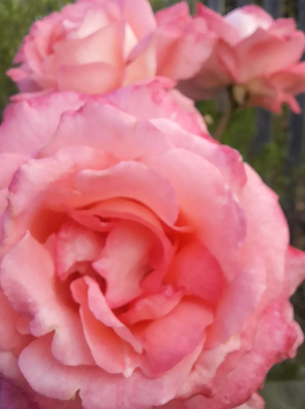 20220909_085522 (1).webp