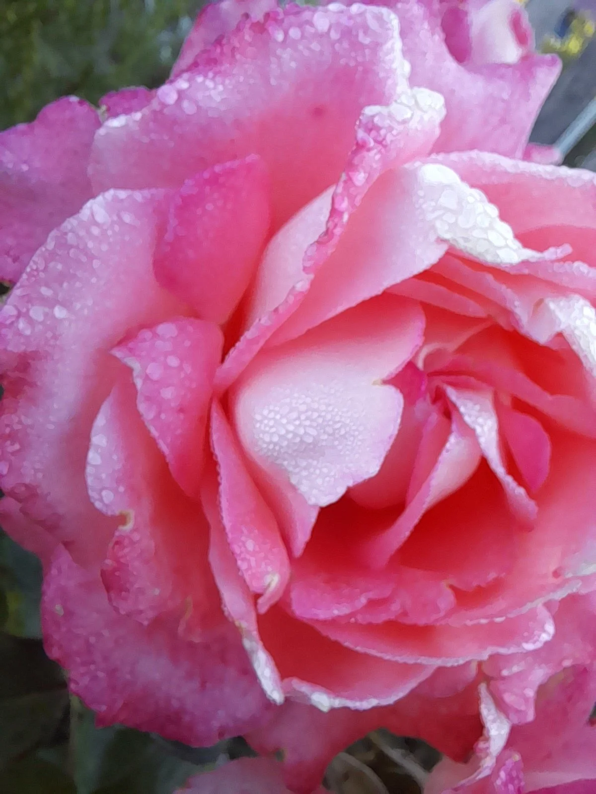 20220913_084011 (1).webp