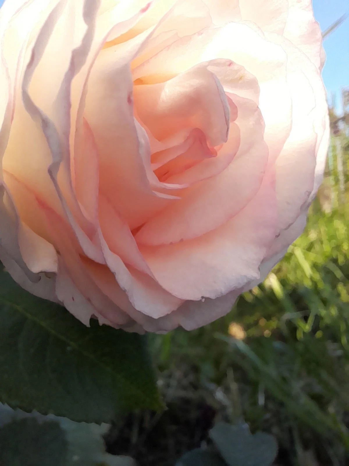 20220916_180035 (1).webp