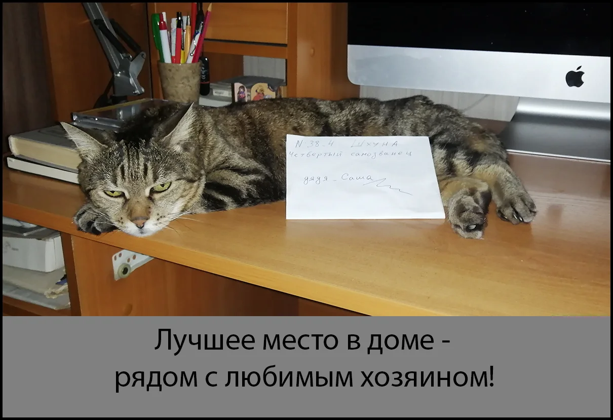 2023-01-25 12-14-26_2.webp