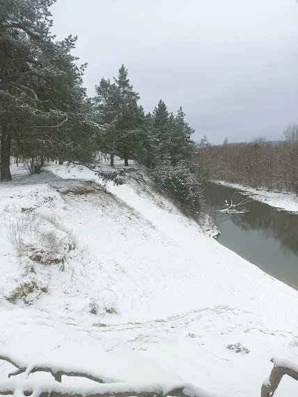 2023-02-05 14-54-46.JPG