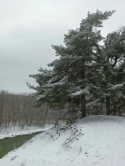 2023-02-05 14-55-09.JPG