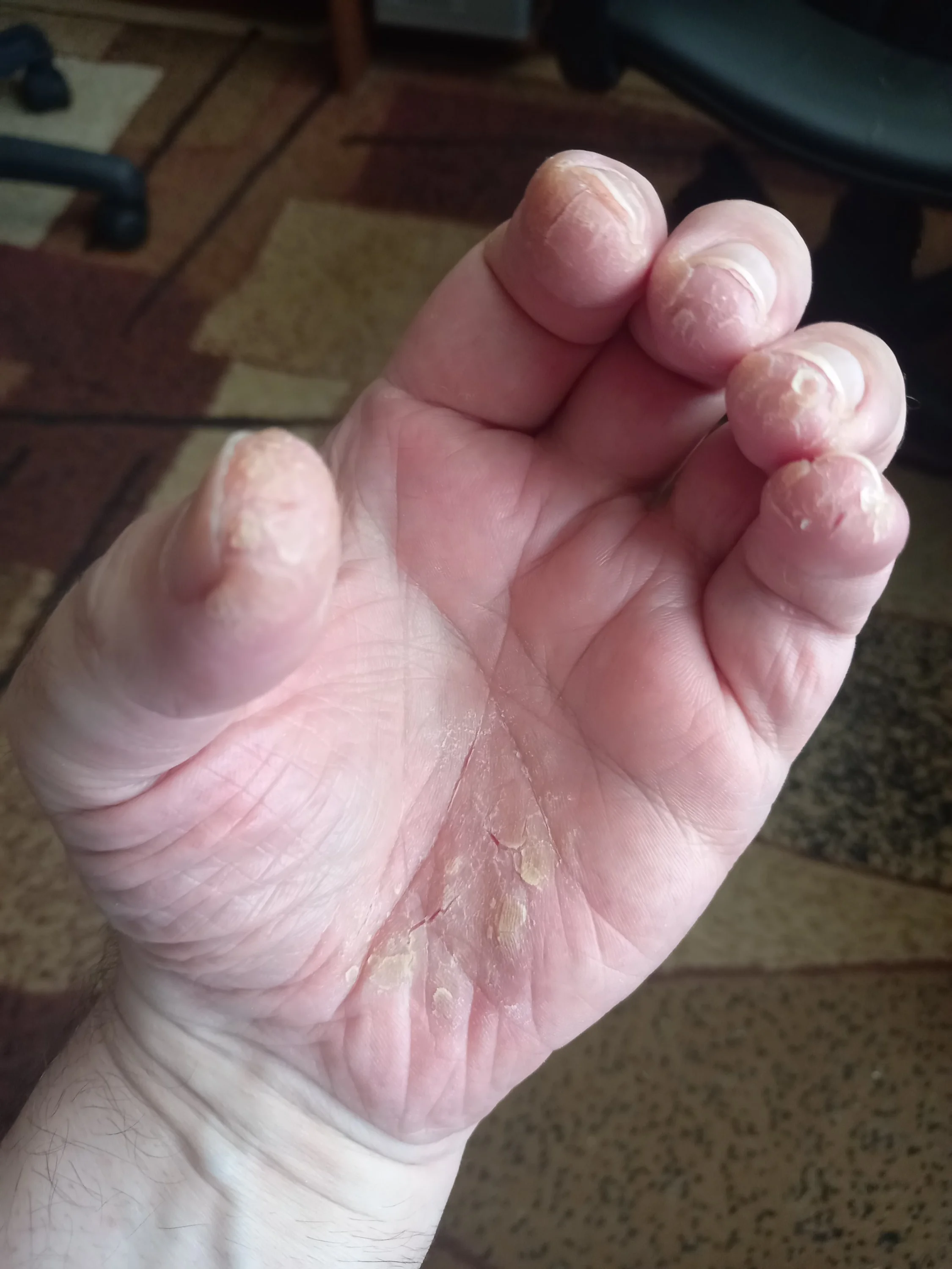 2023-02-07 11-00-58.webp