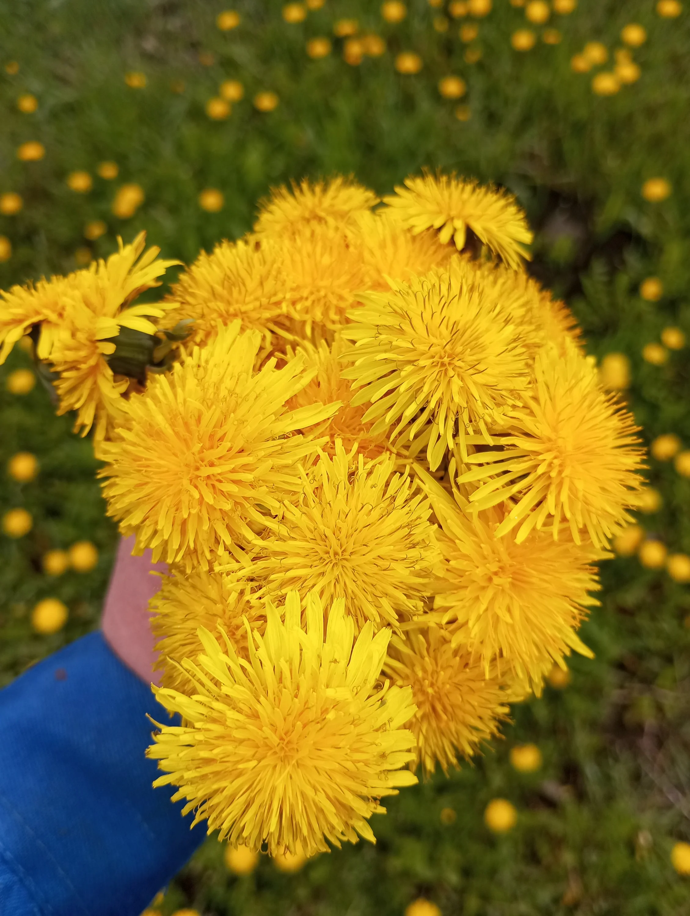 2023-05-05 10-59-09.webp