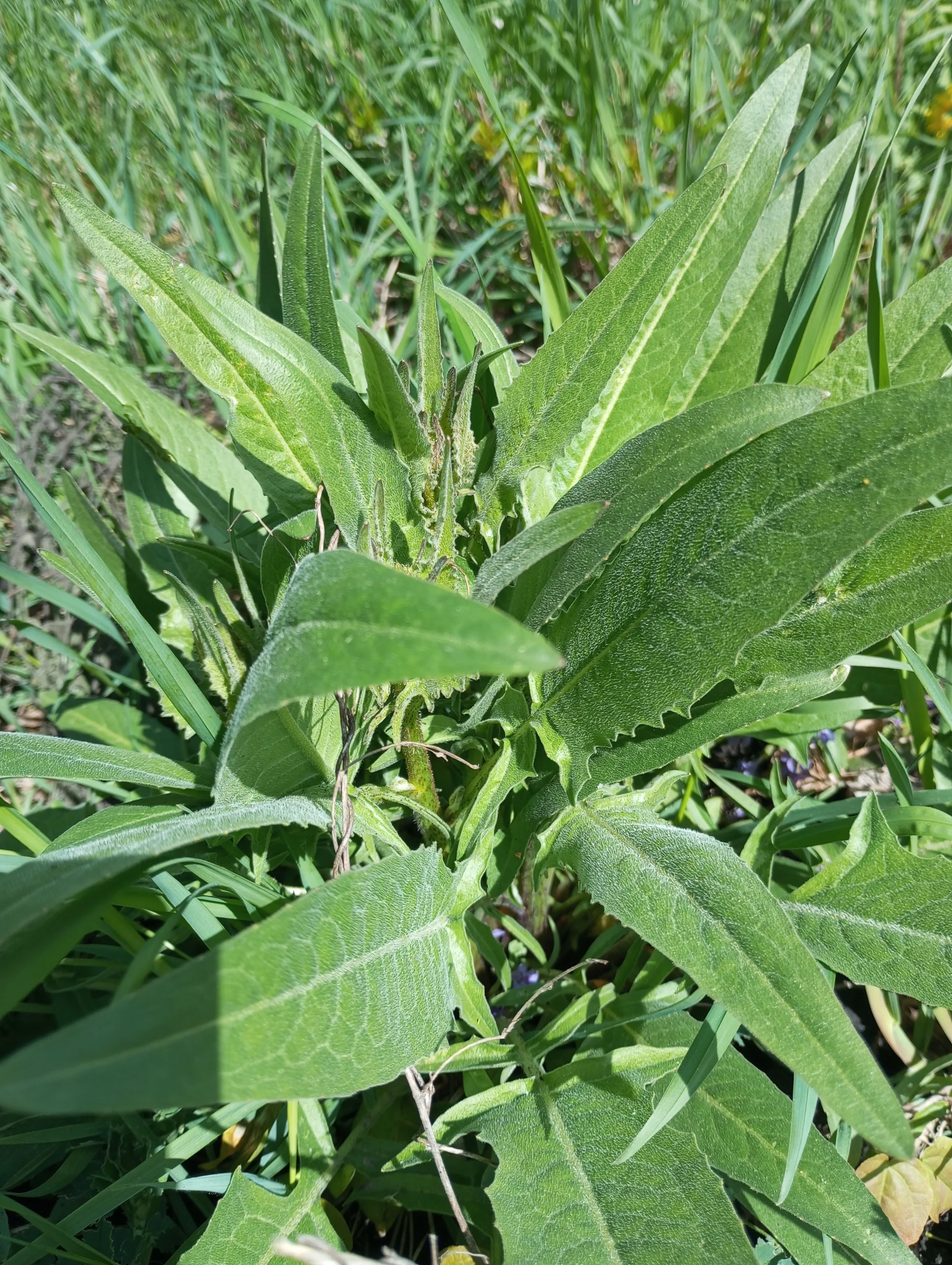 2023-05-07 10-09-18.webp