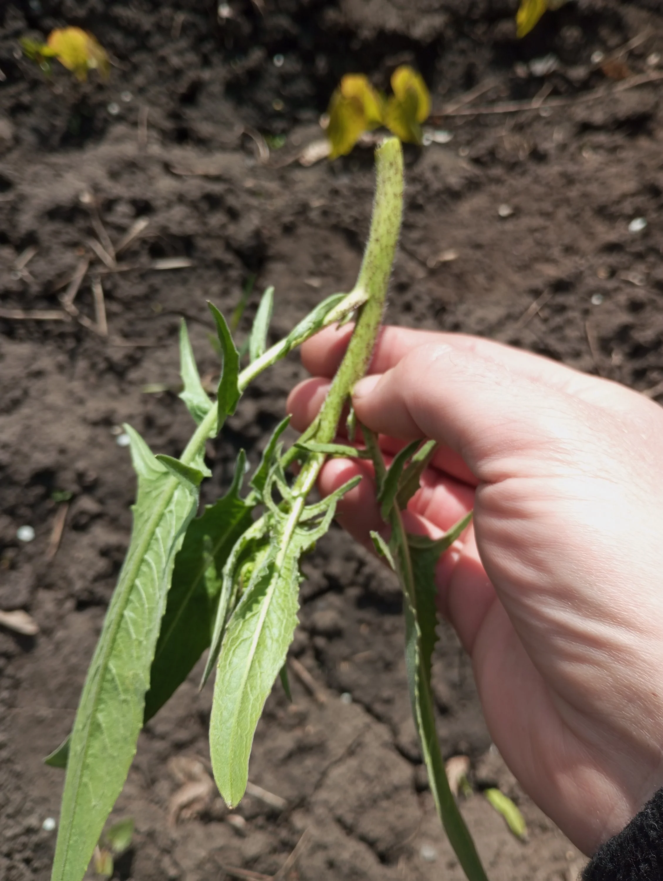 2023-05-07 10-10-32.webp