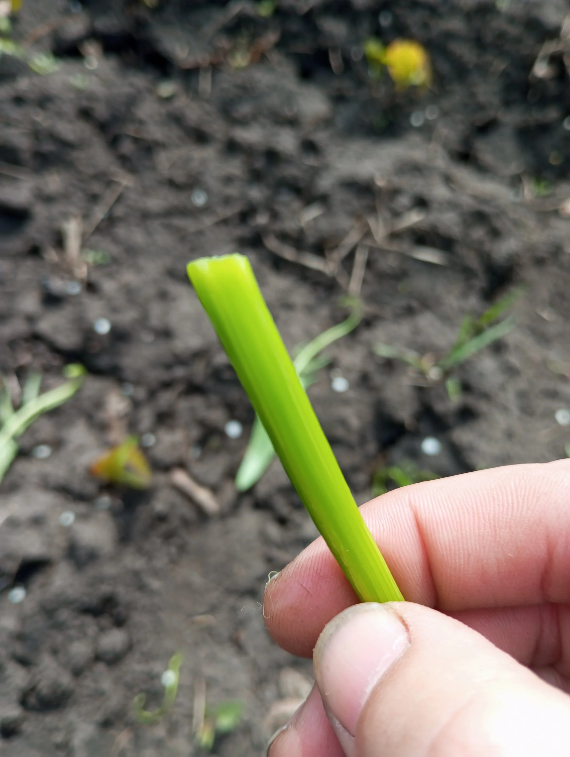 2023-05-07 10-11-22.webp