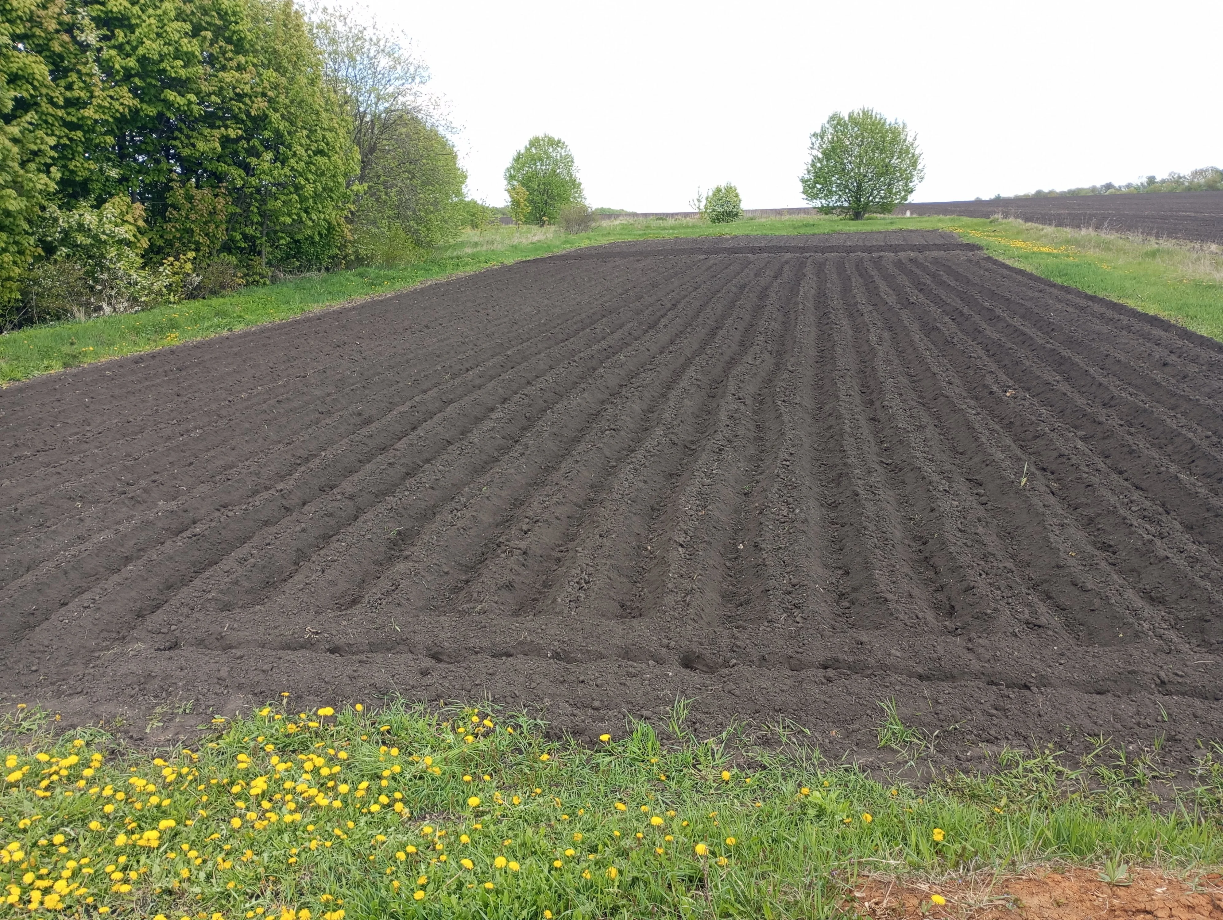 2023-05-08 11-14-49.webp