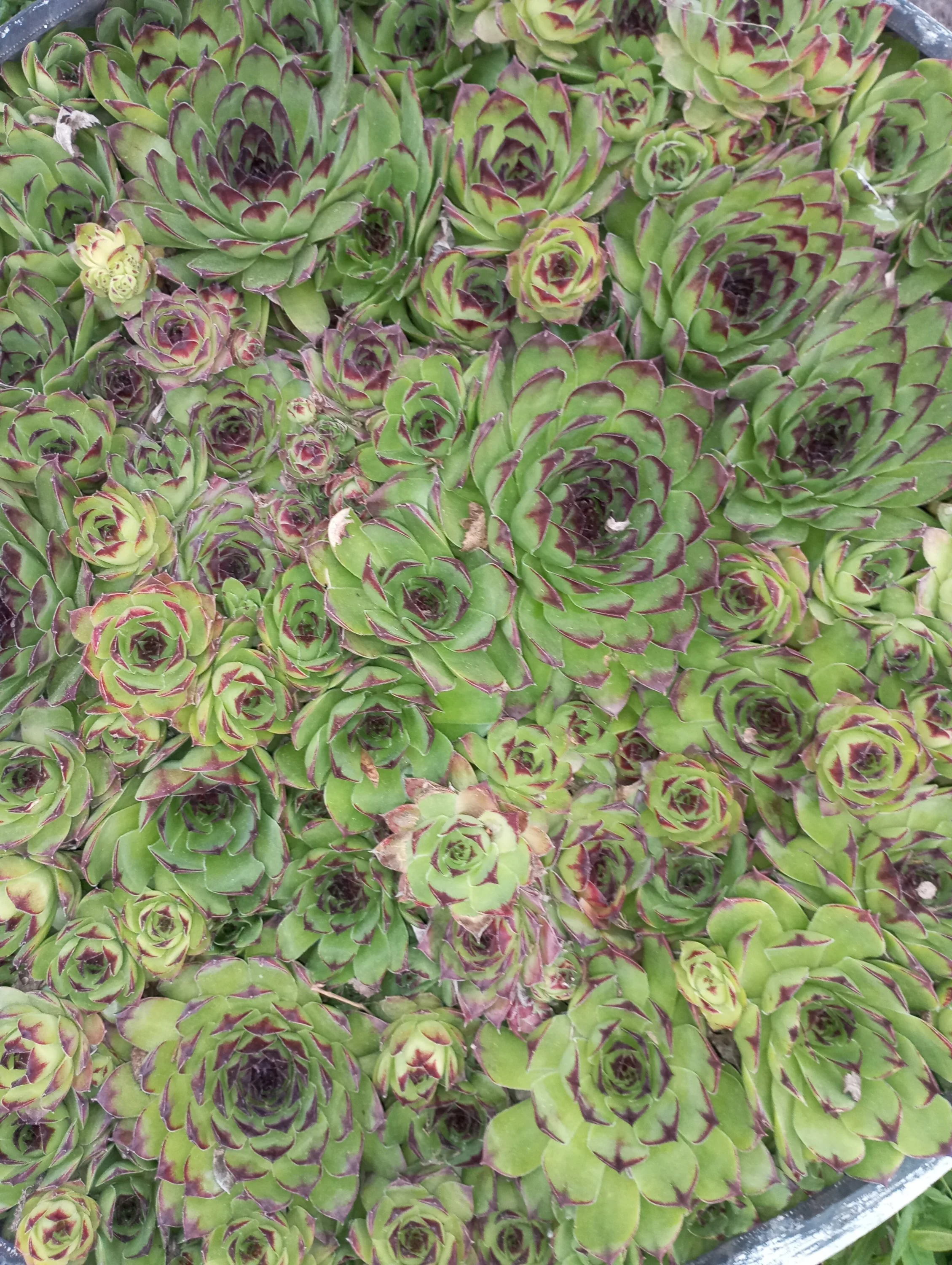 2023-05-11 19-35-06.webp