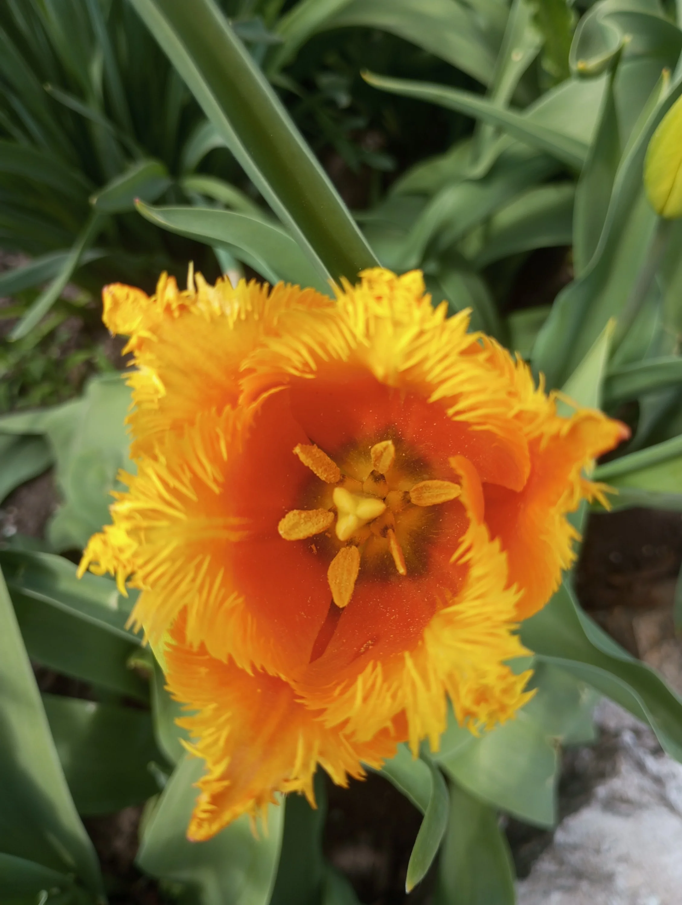 2023-05-14 13-16-41.webp