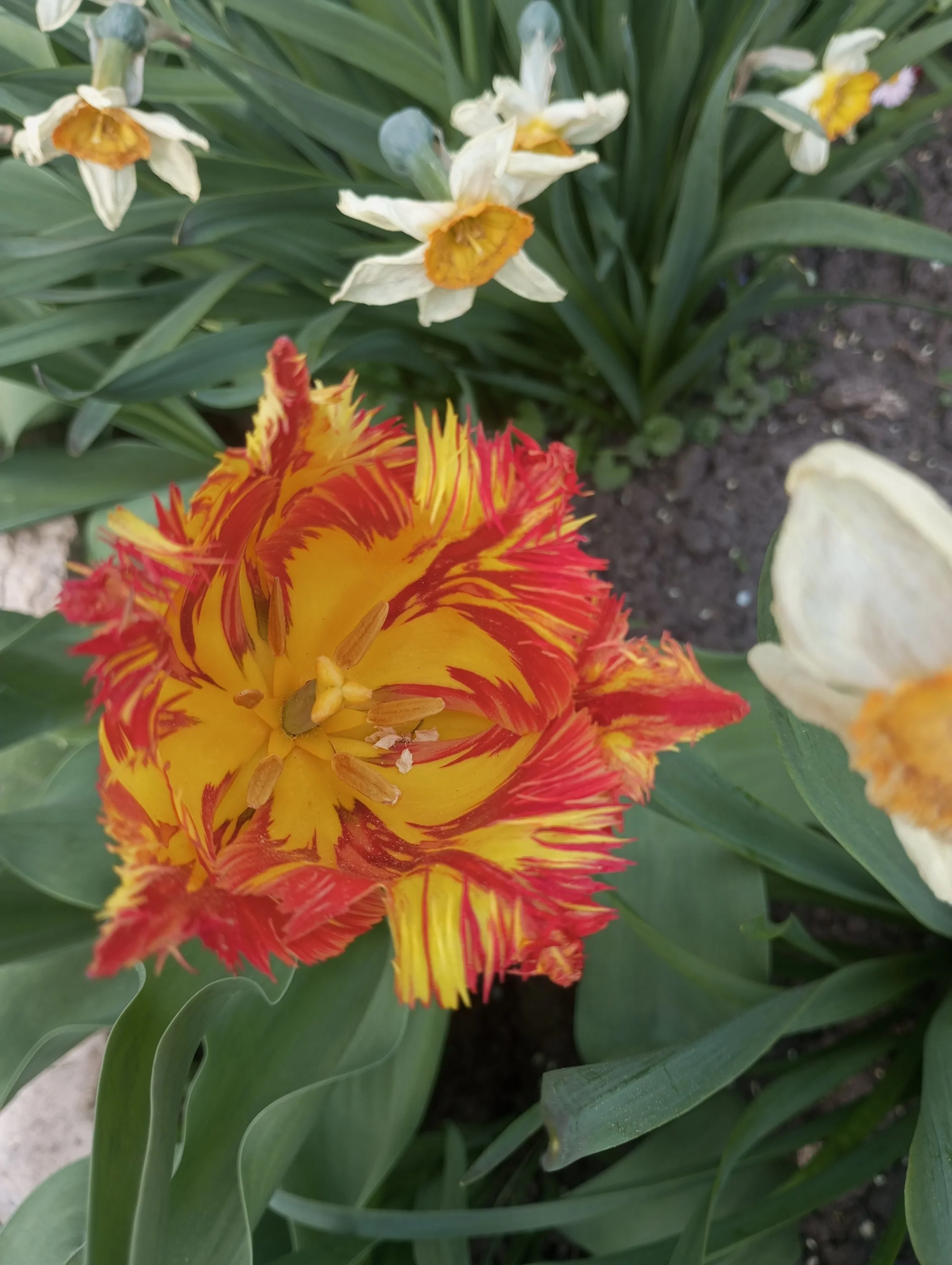 2023-05-14 13-17-06.webp