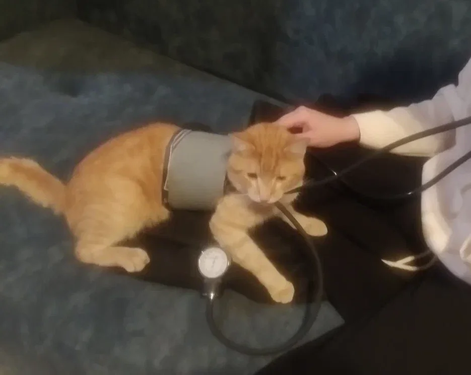 2023-05-18 23-53-29.webp