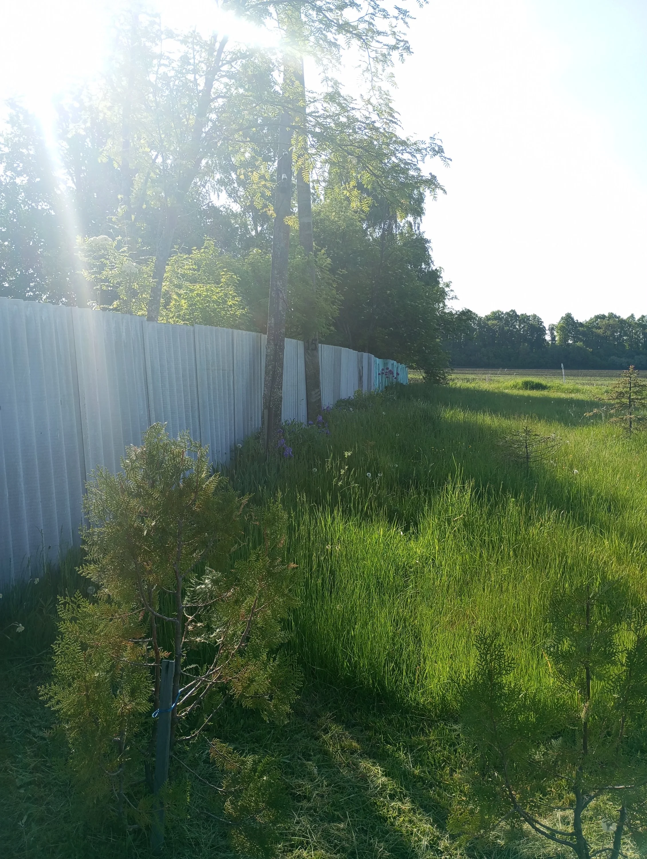 2023-05-20 07-57-16 (2).webp