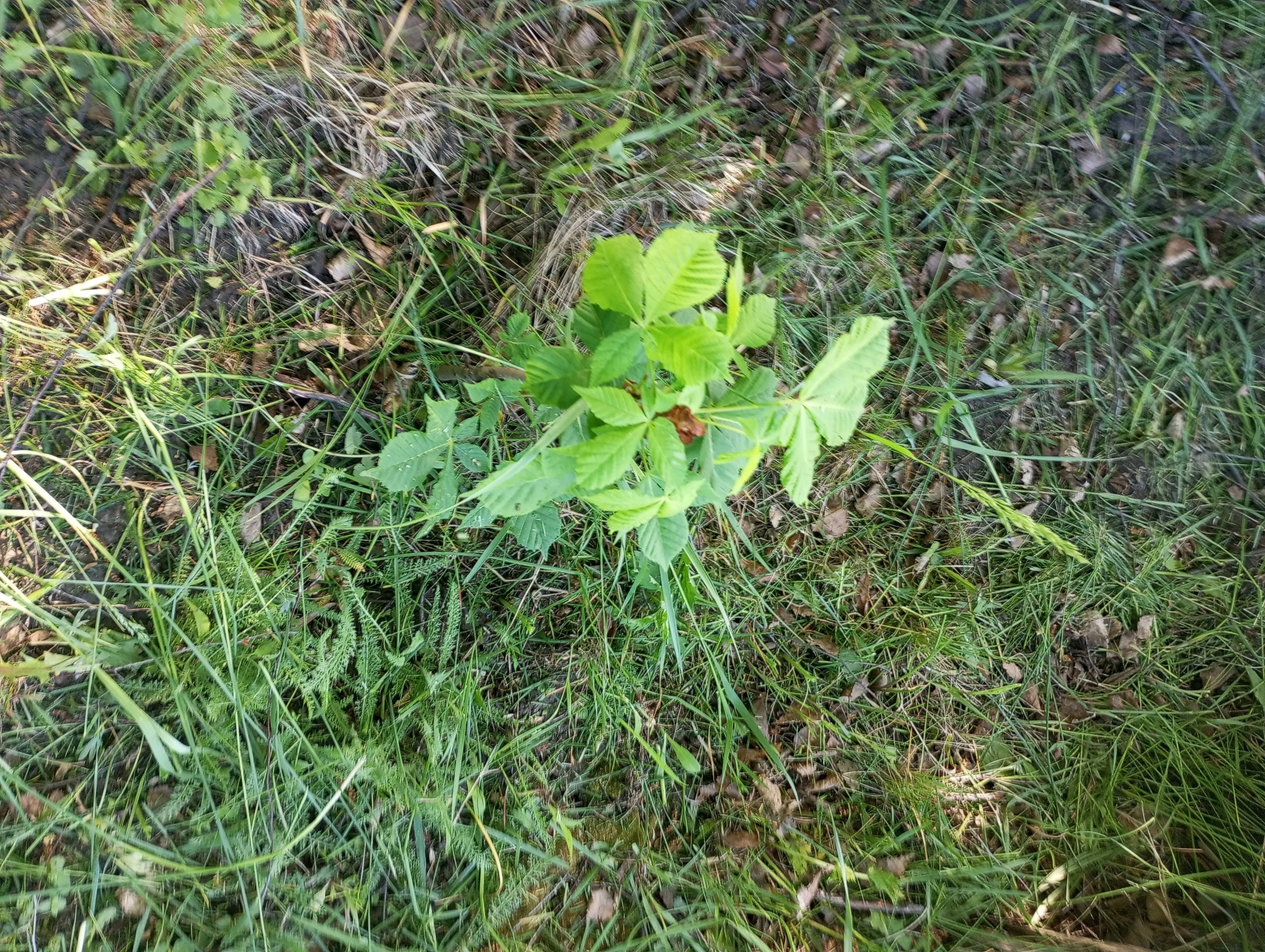 2023-05-20 08-27-34.webp