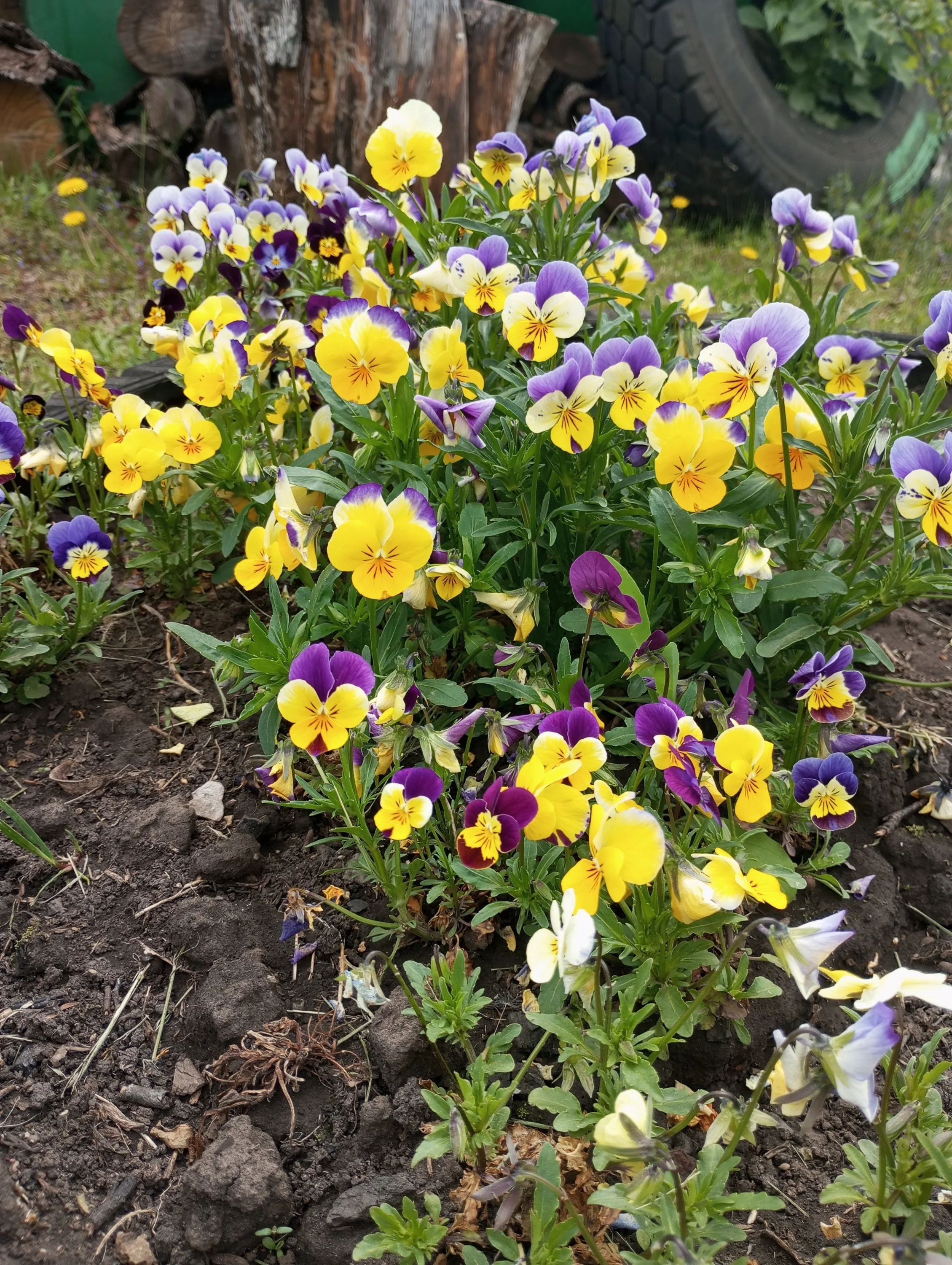 2023-05-20 11-18-42.webp