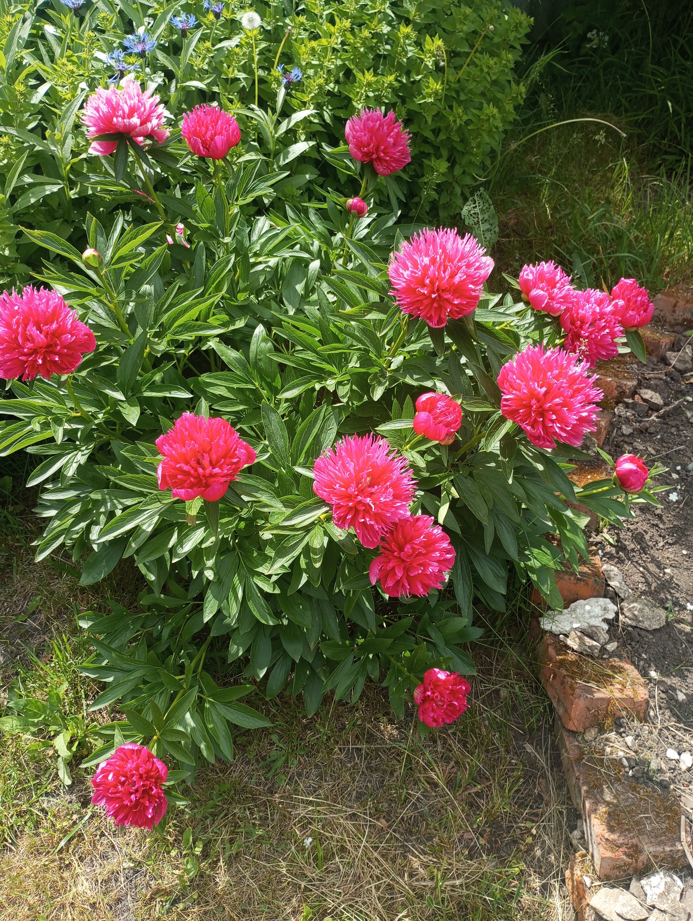 2023-06-04 14-29-28 (1).JPG