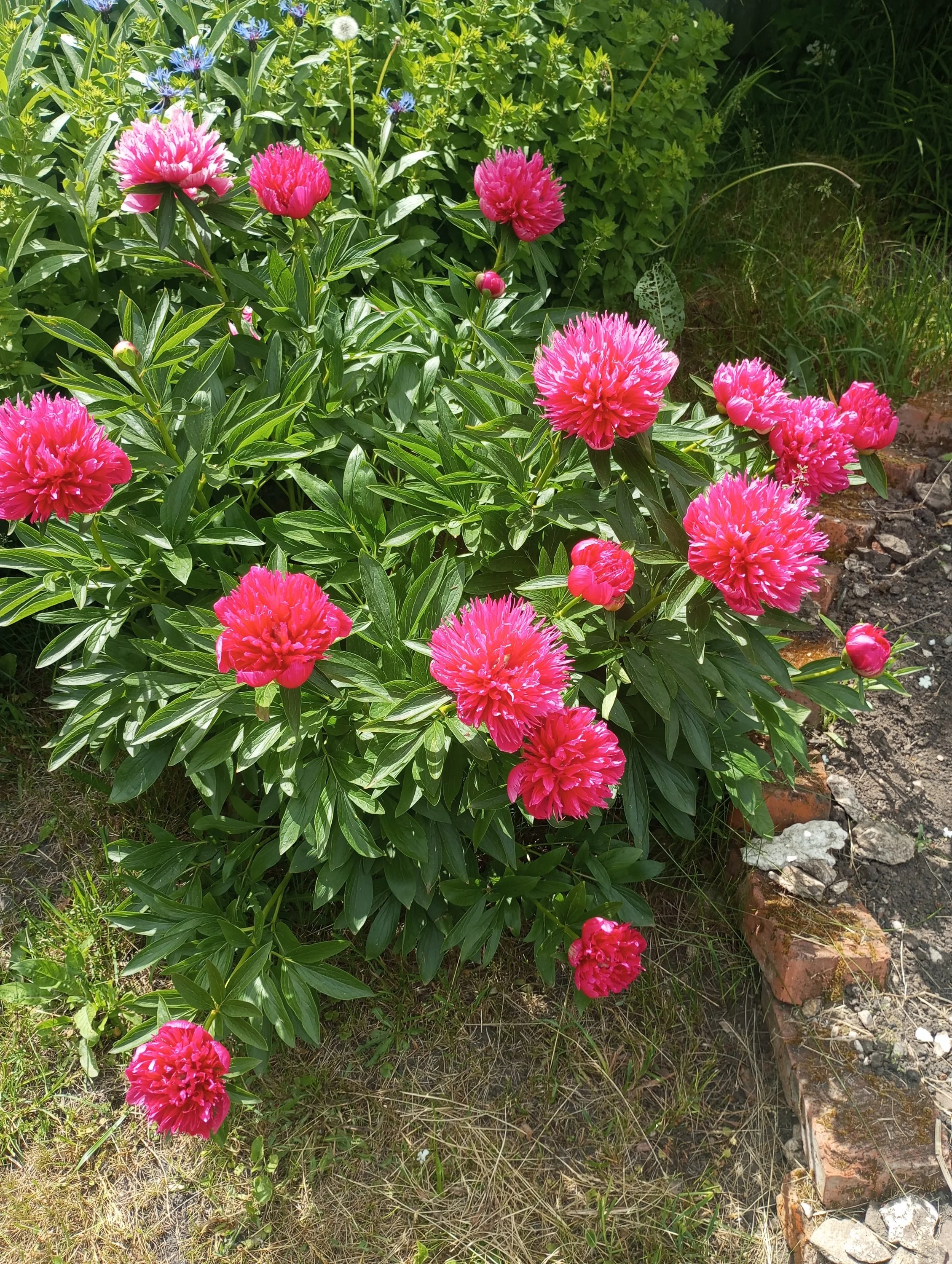 2023-06-04 14-29-28 (1).webp