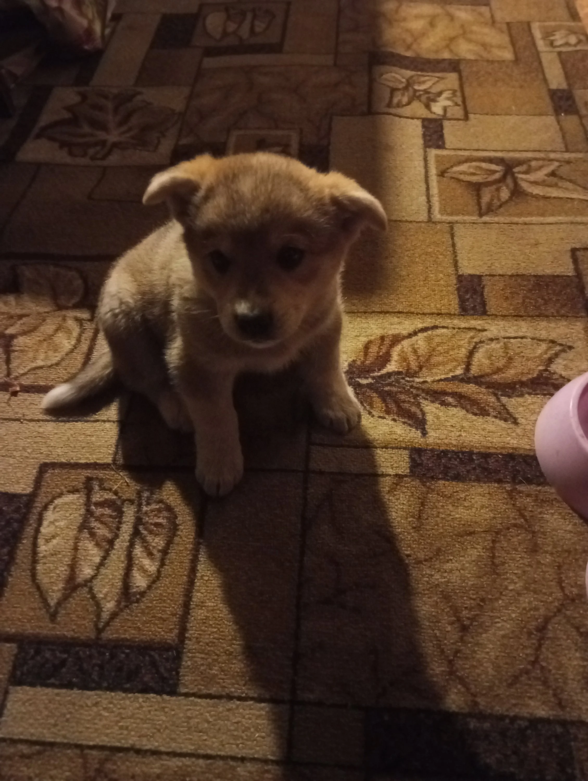 2023-06-09 23-20-17.webp