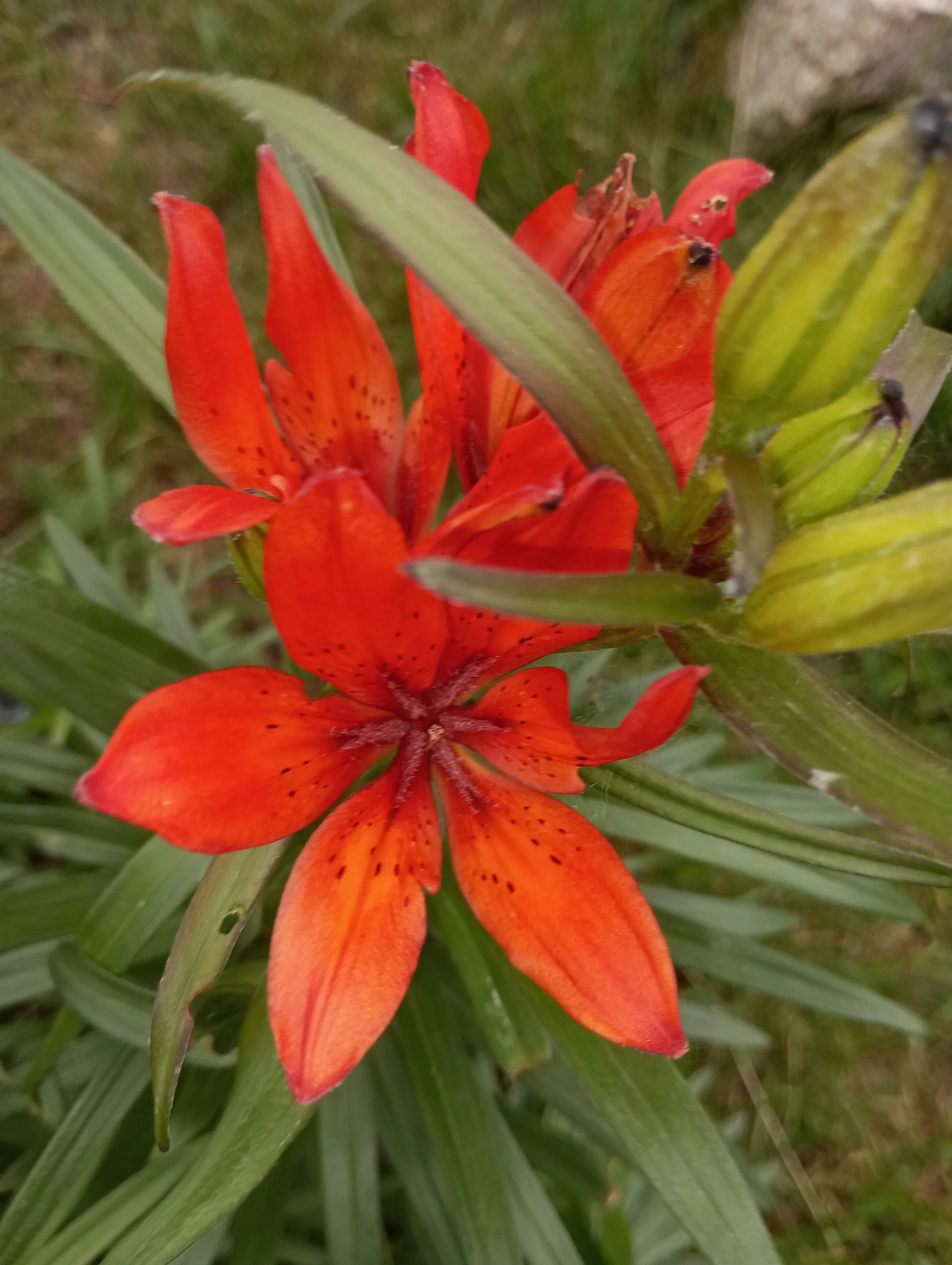 2023-06-10 17-47-55.webp