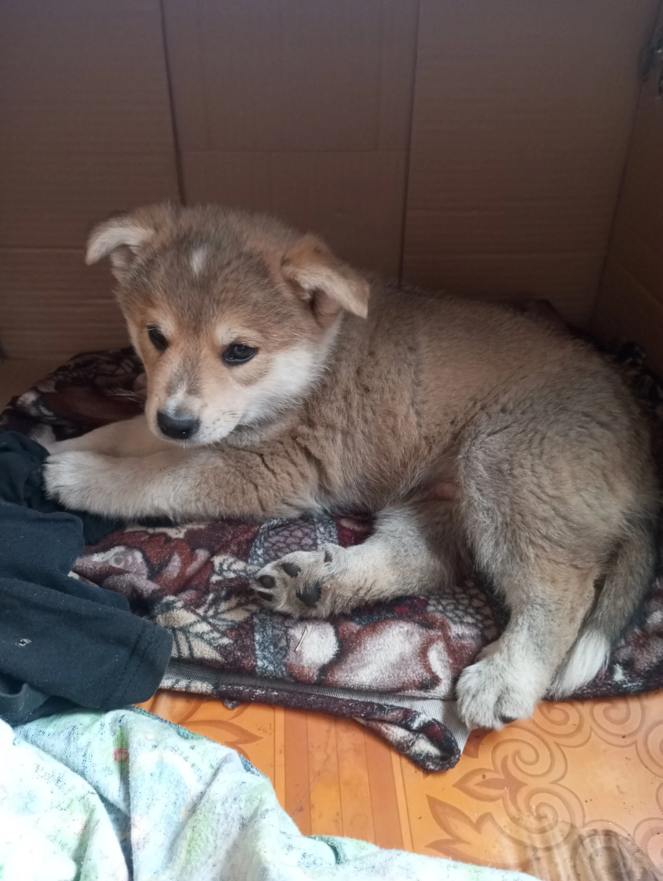 2023-06-10 18-24-56.webp