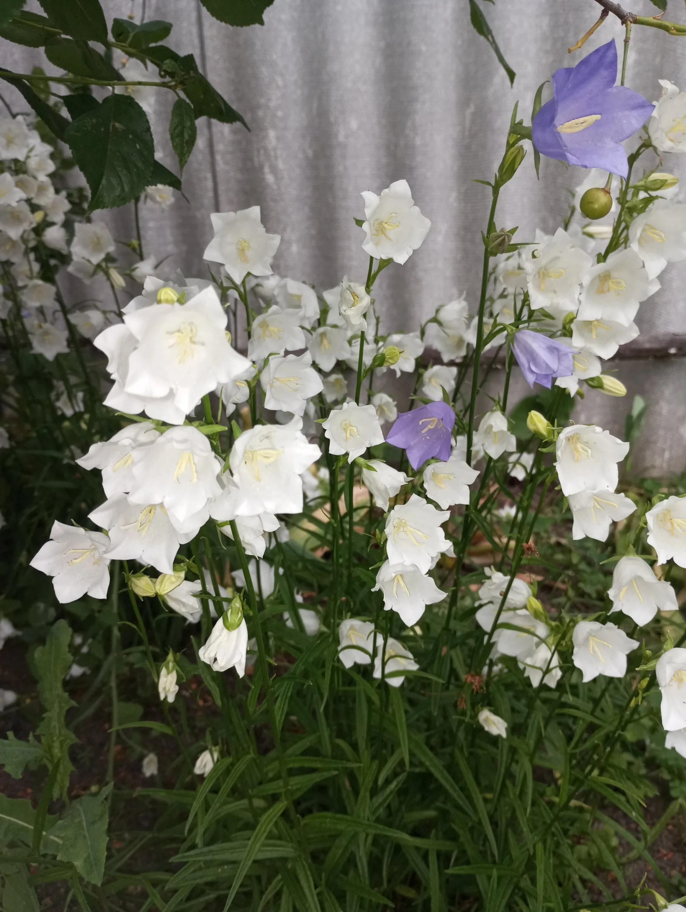 2023-06-15 19-22-17.webp