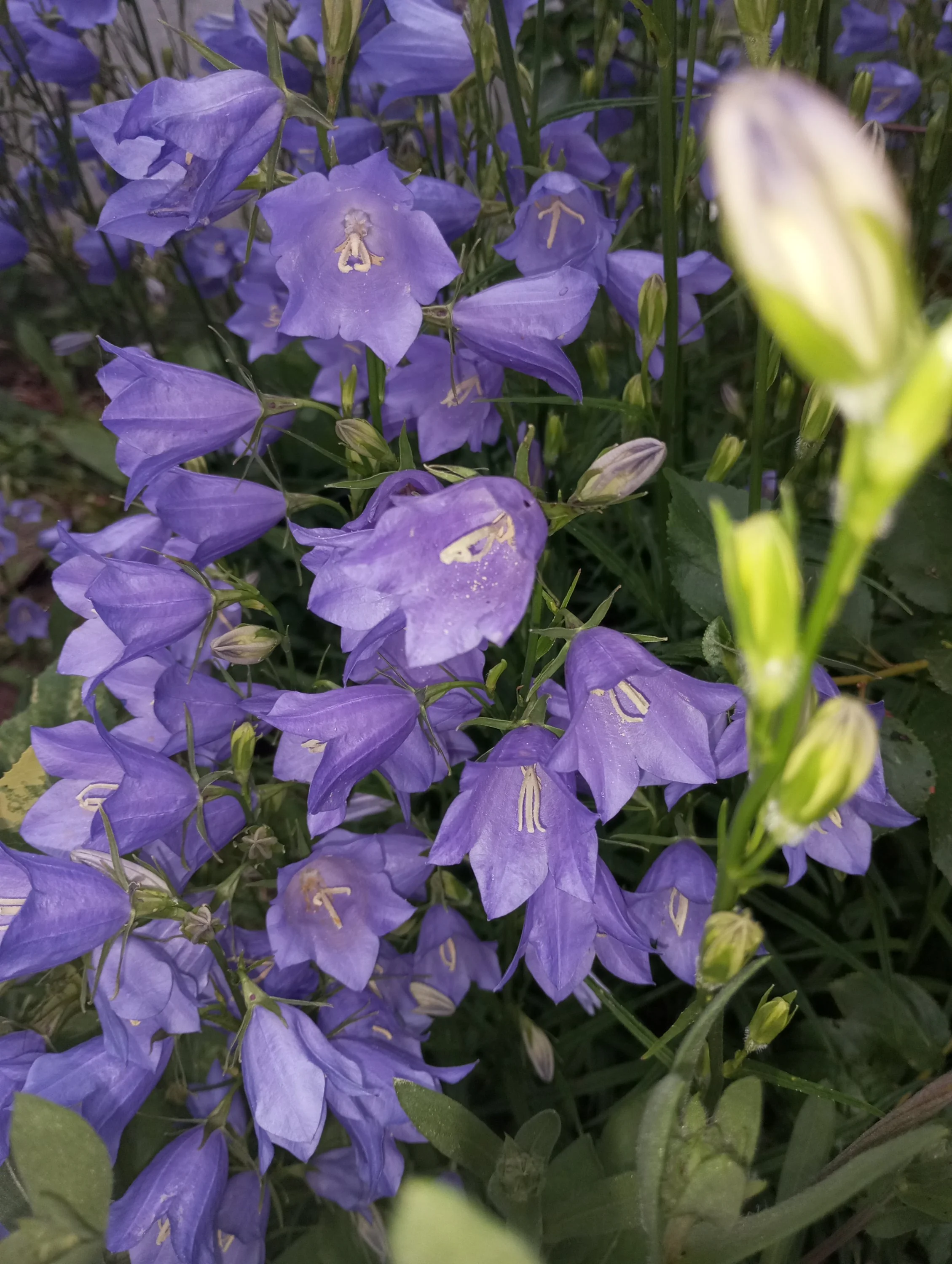 2023-06-15 19-22-34.webp