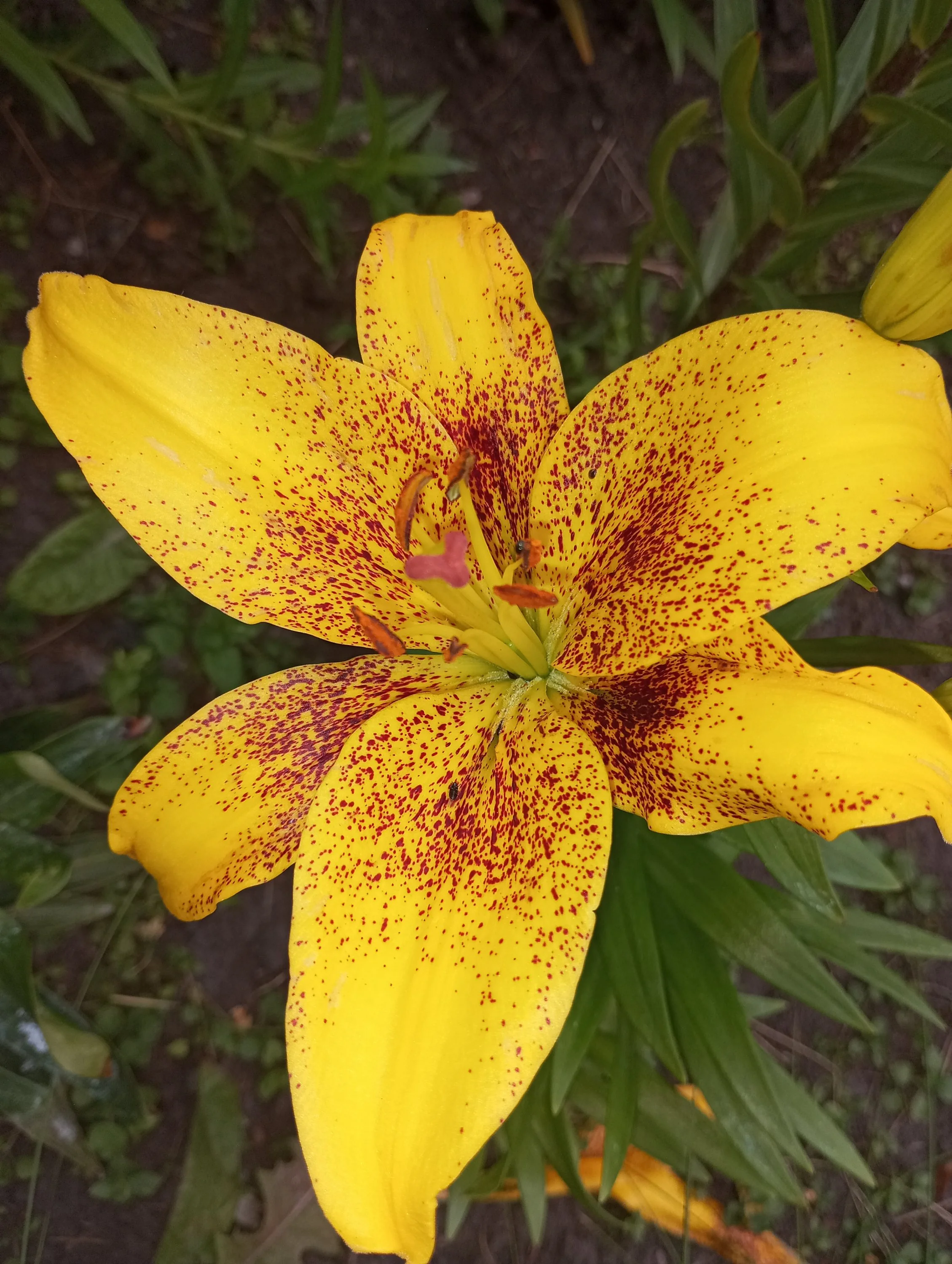 2023-06-15 19-24-00.webp