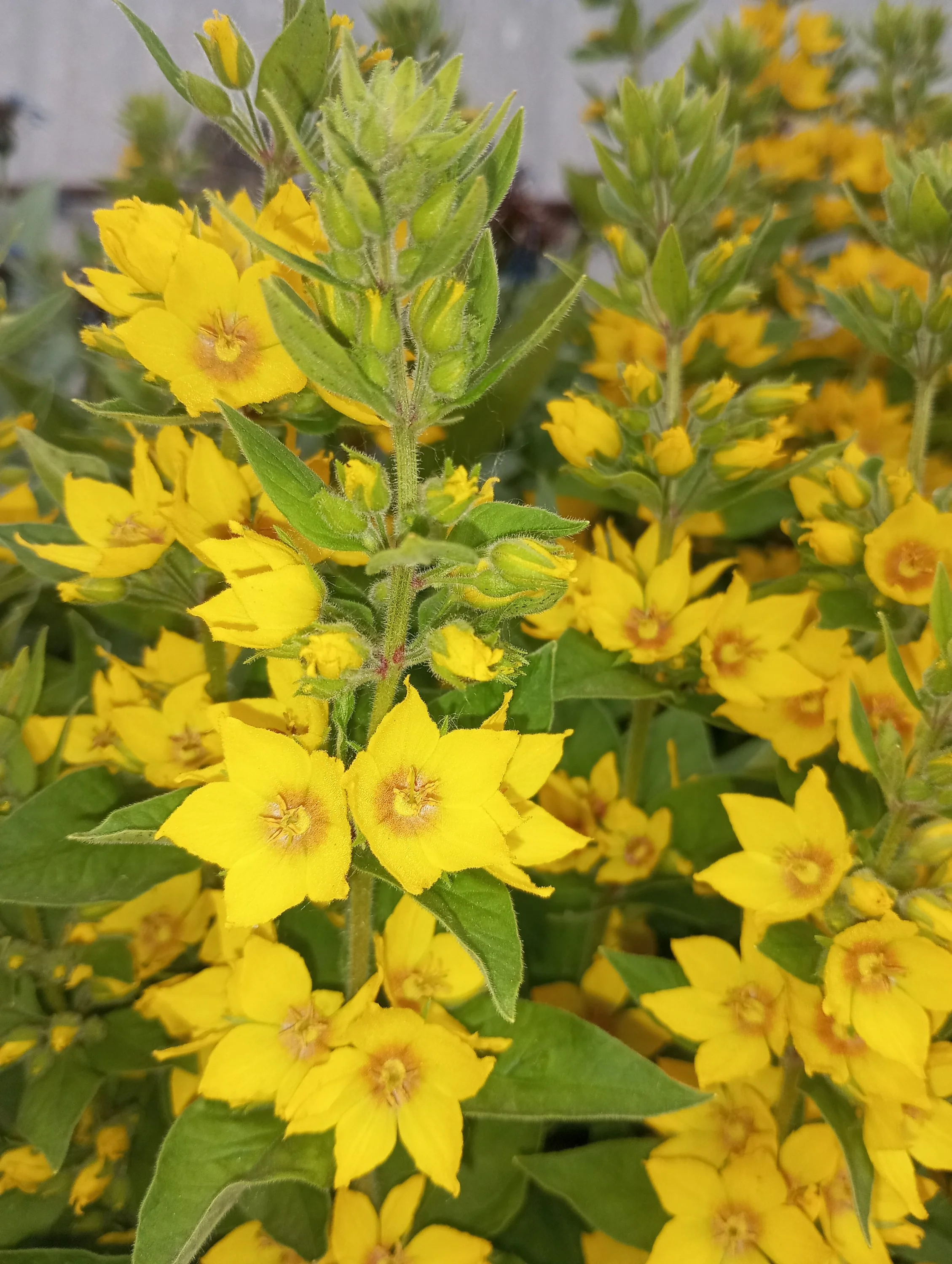 2023-06-15 19-24-24.webp