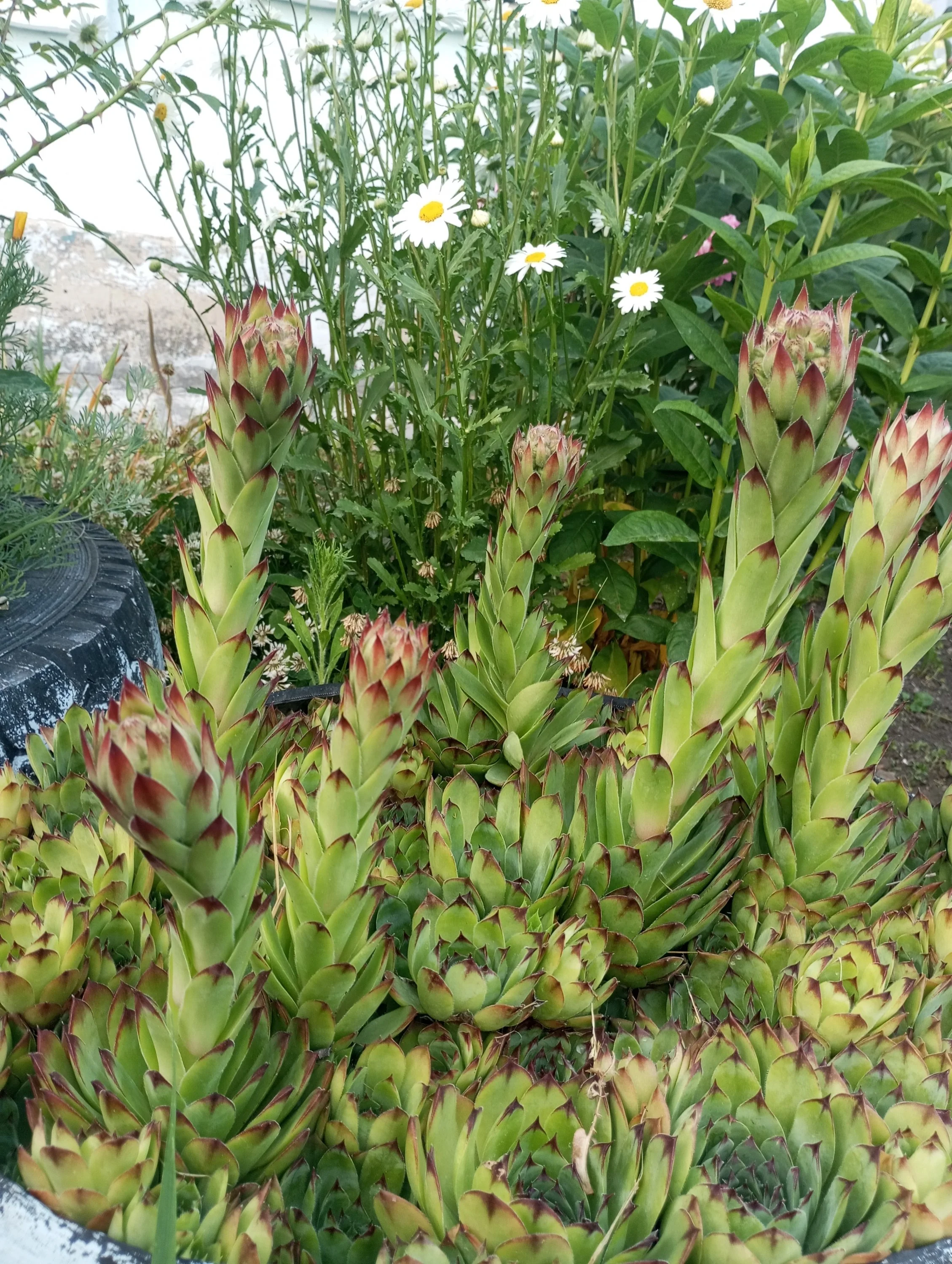 2023-06-16 19-58-00.webp