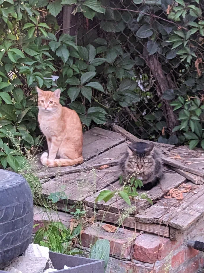 2023-06-17 21-13-01.webp