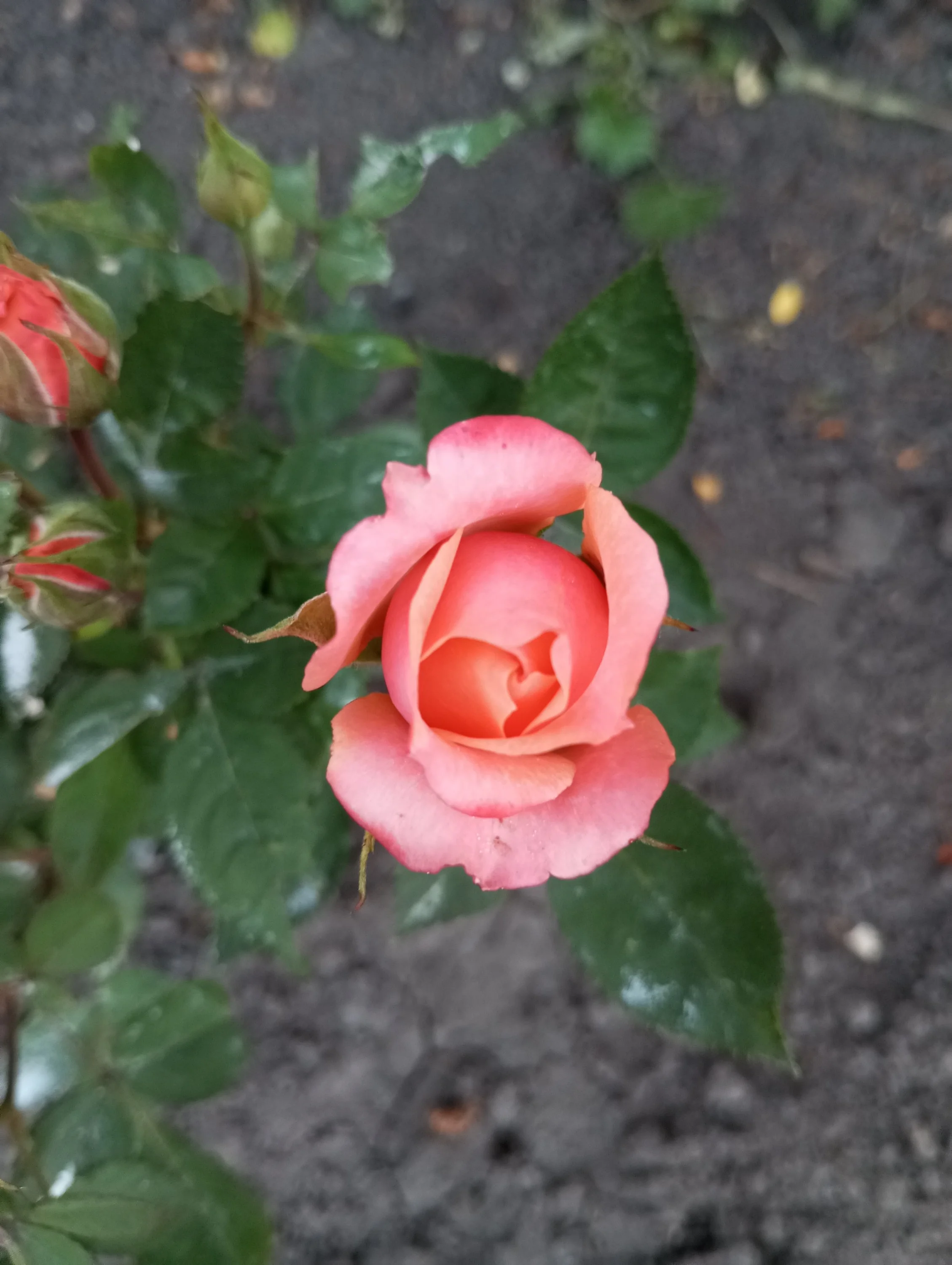 2023-06-19 20-29-05.webp