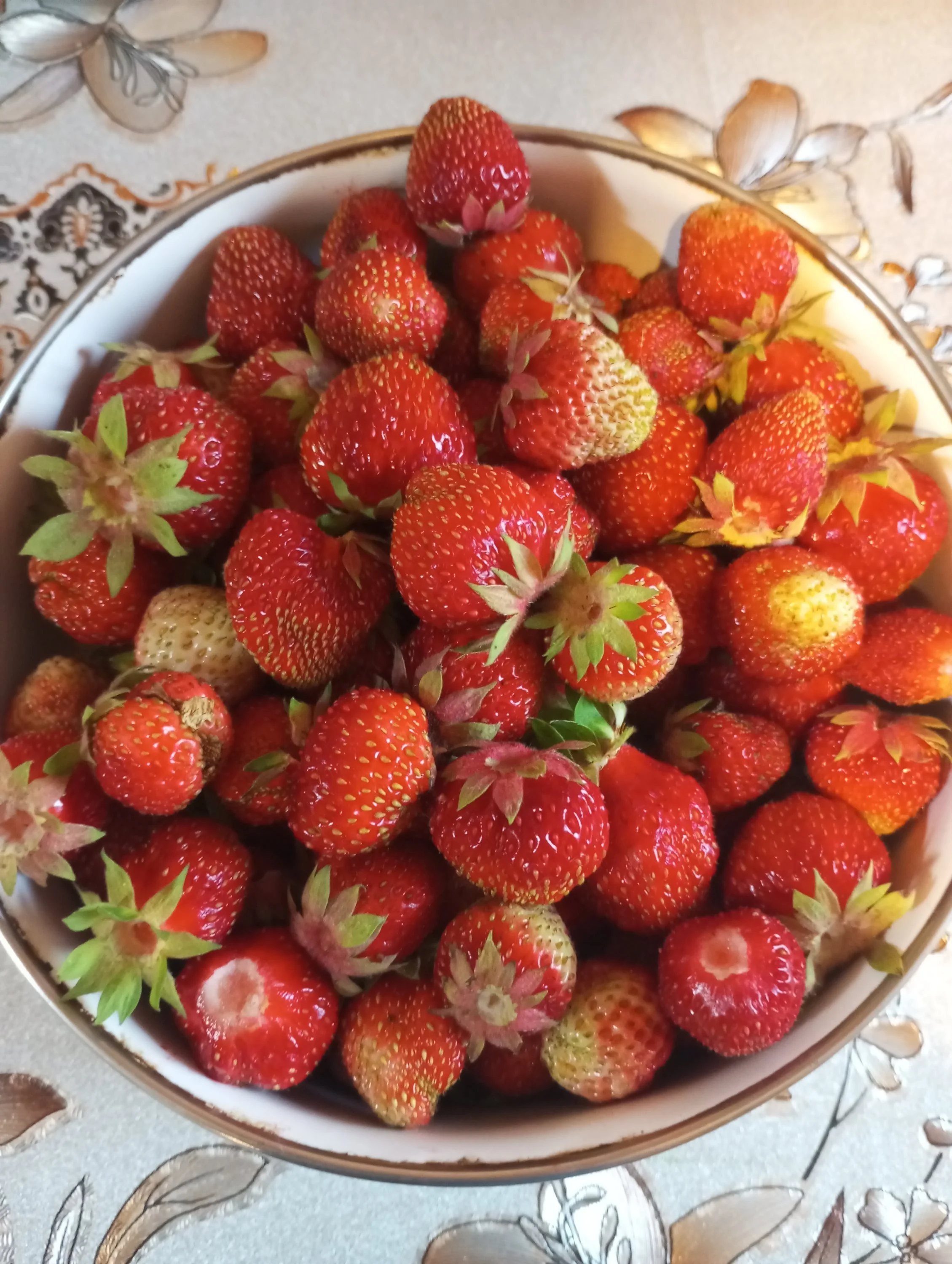 2023-06-21 20-34-54.JPG