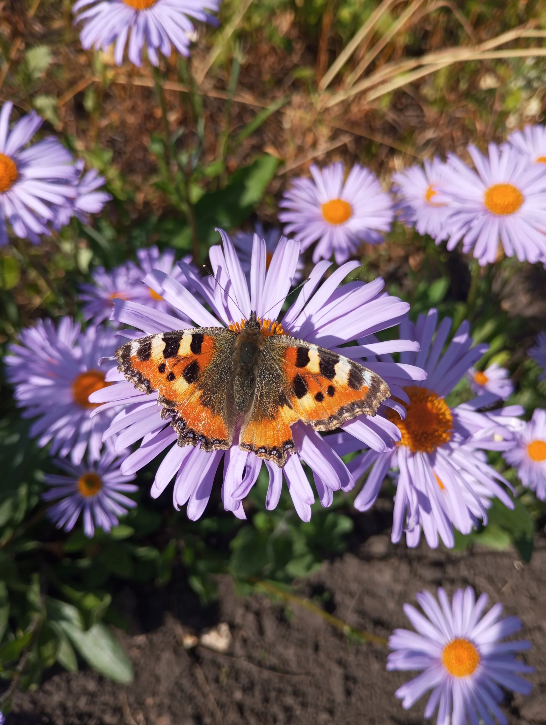 2023-06-25 08-52-49.JPG