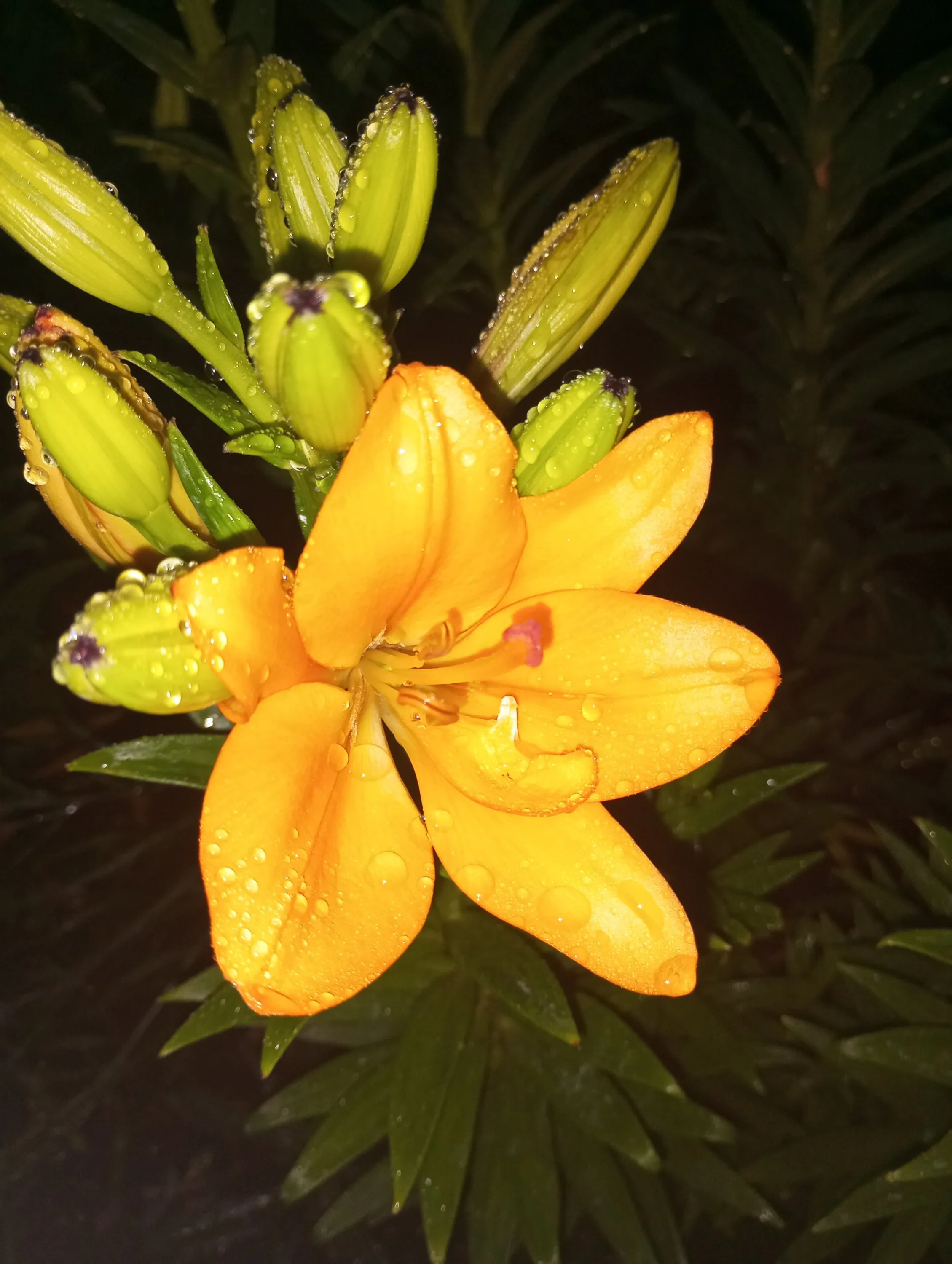 2023-06-27 21-17-27.webp