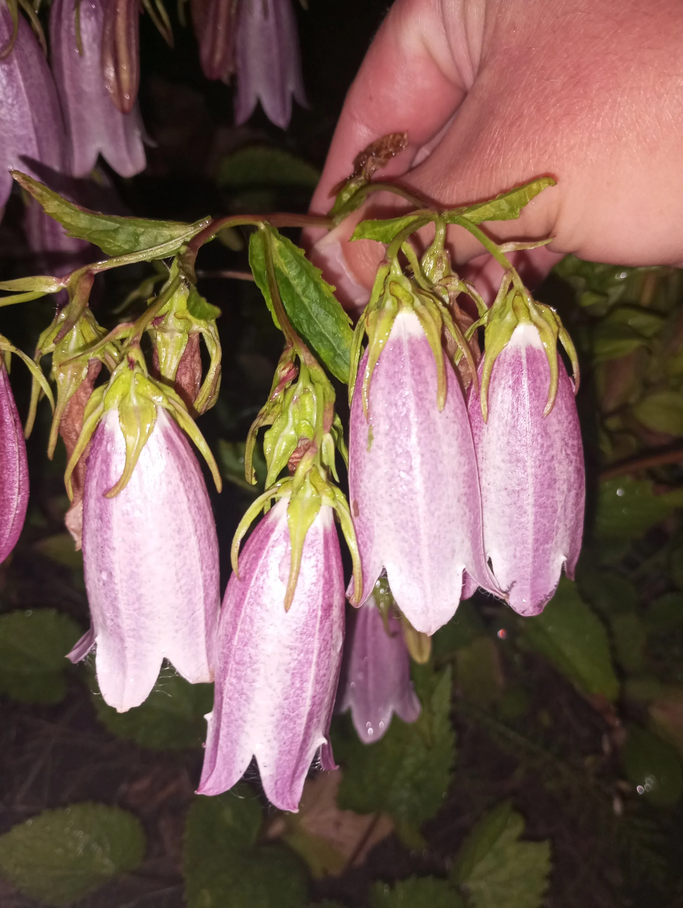 2023-06-27 21-18-49.webp