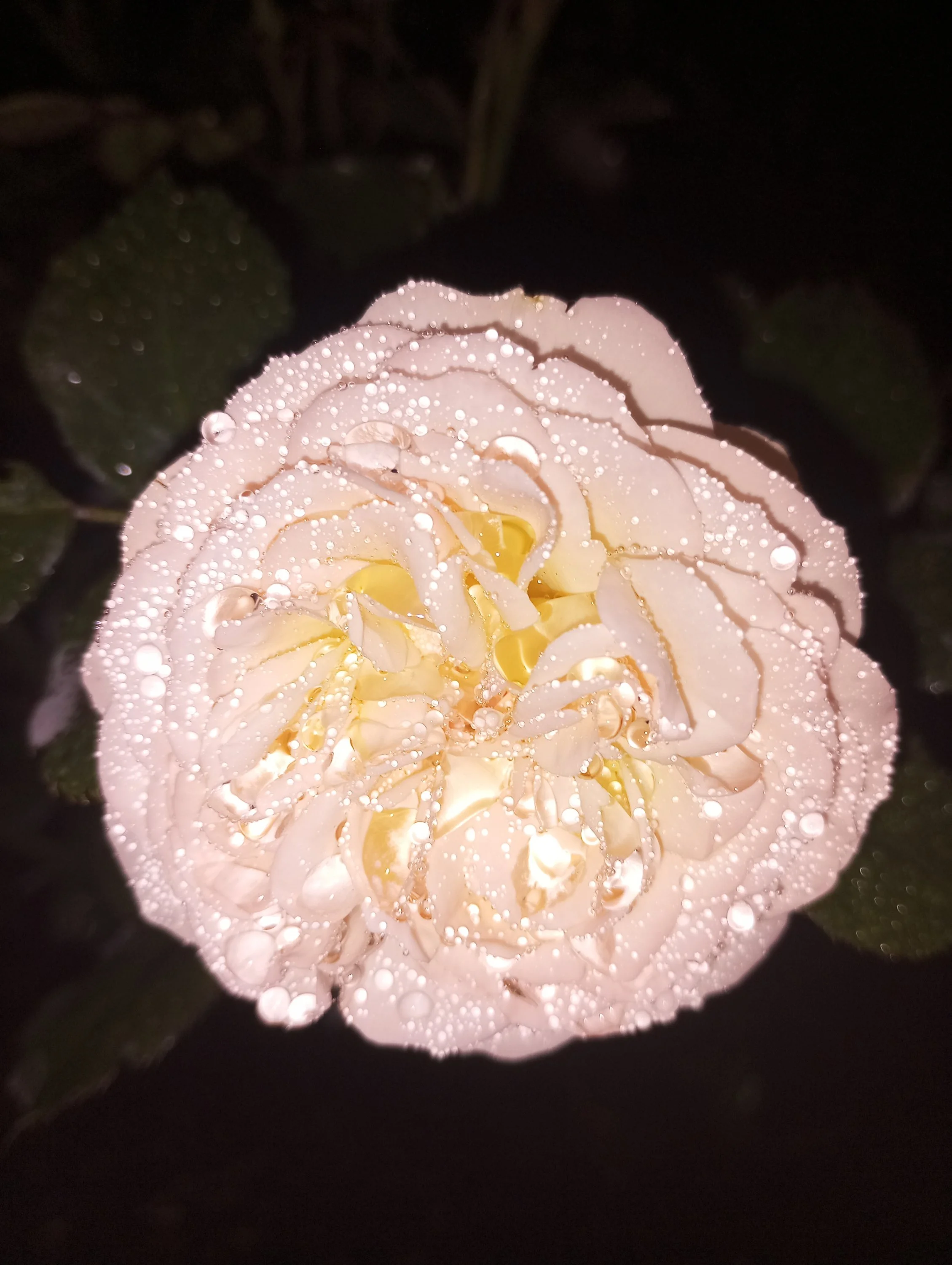 2023-06-27 21-22-25.webp