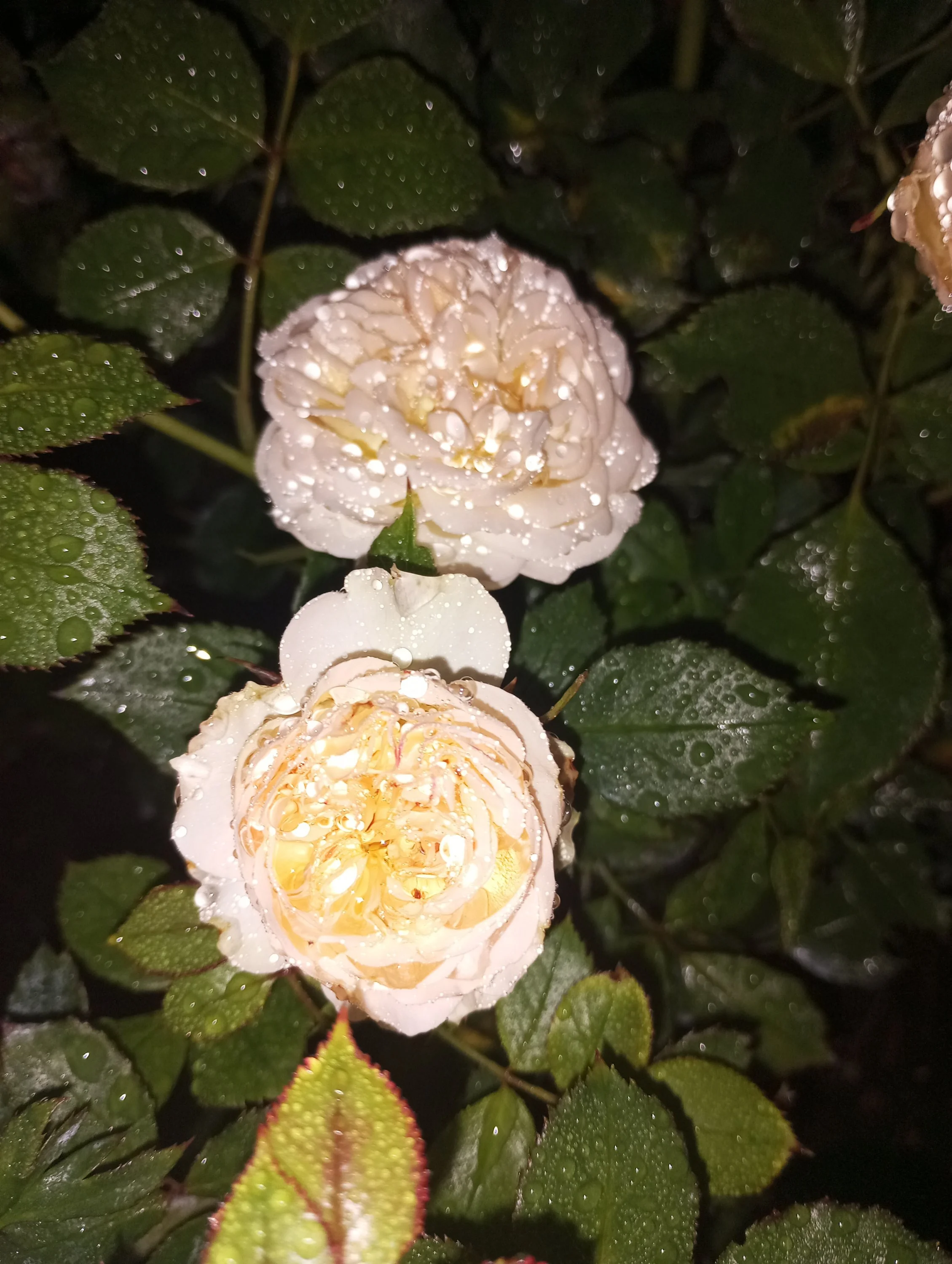 2023-06-27 21-22-42.JPG