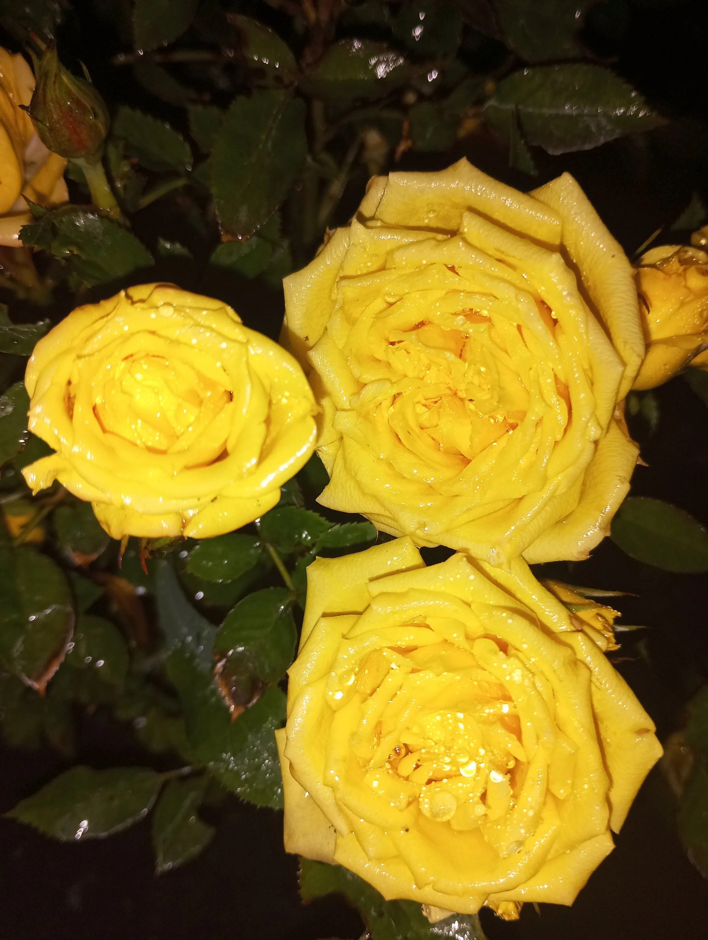 2023-06-27 21-23-19.webp