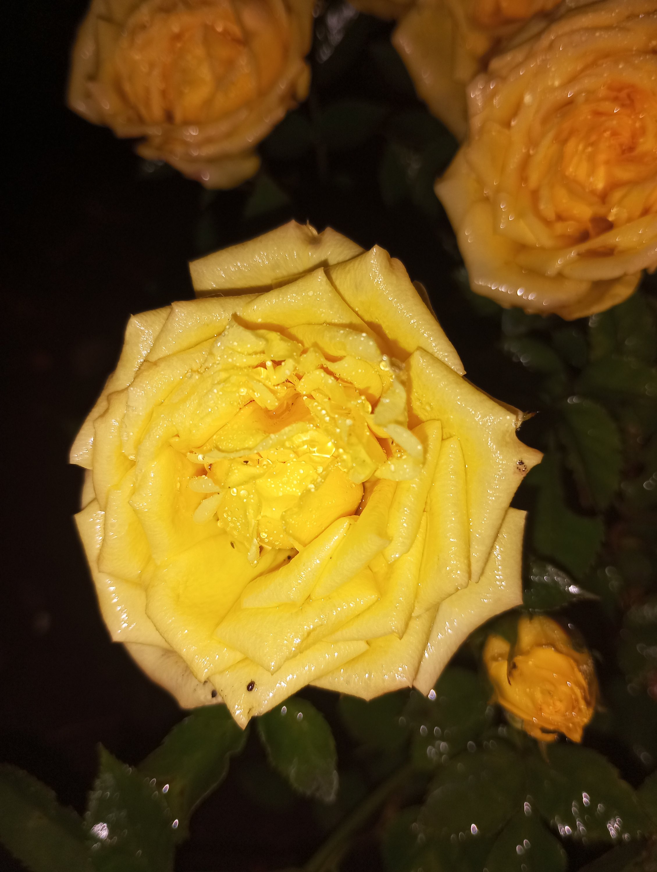 2023-06-27 21-23-26.JPG