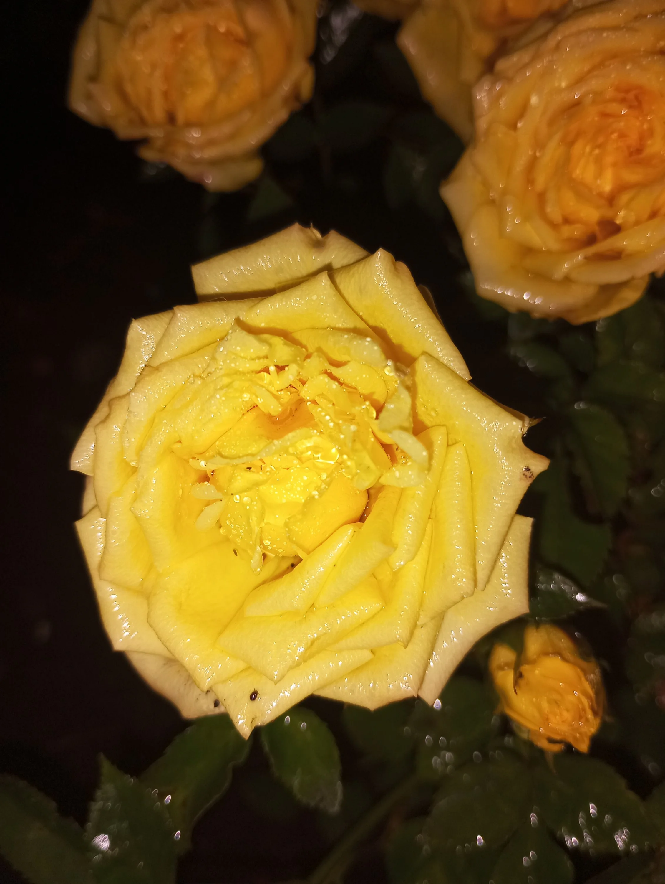 2023-06-27 21-23-26.webp