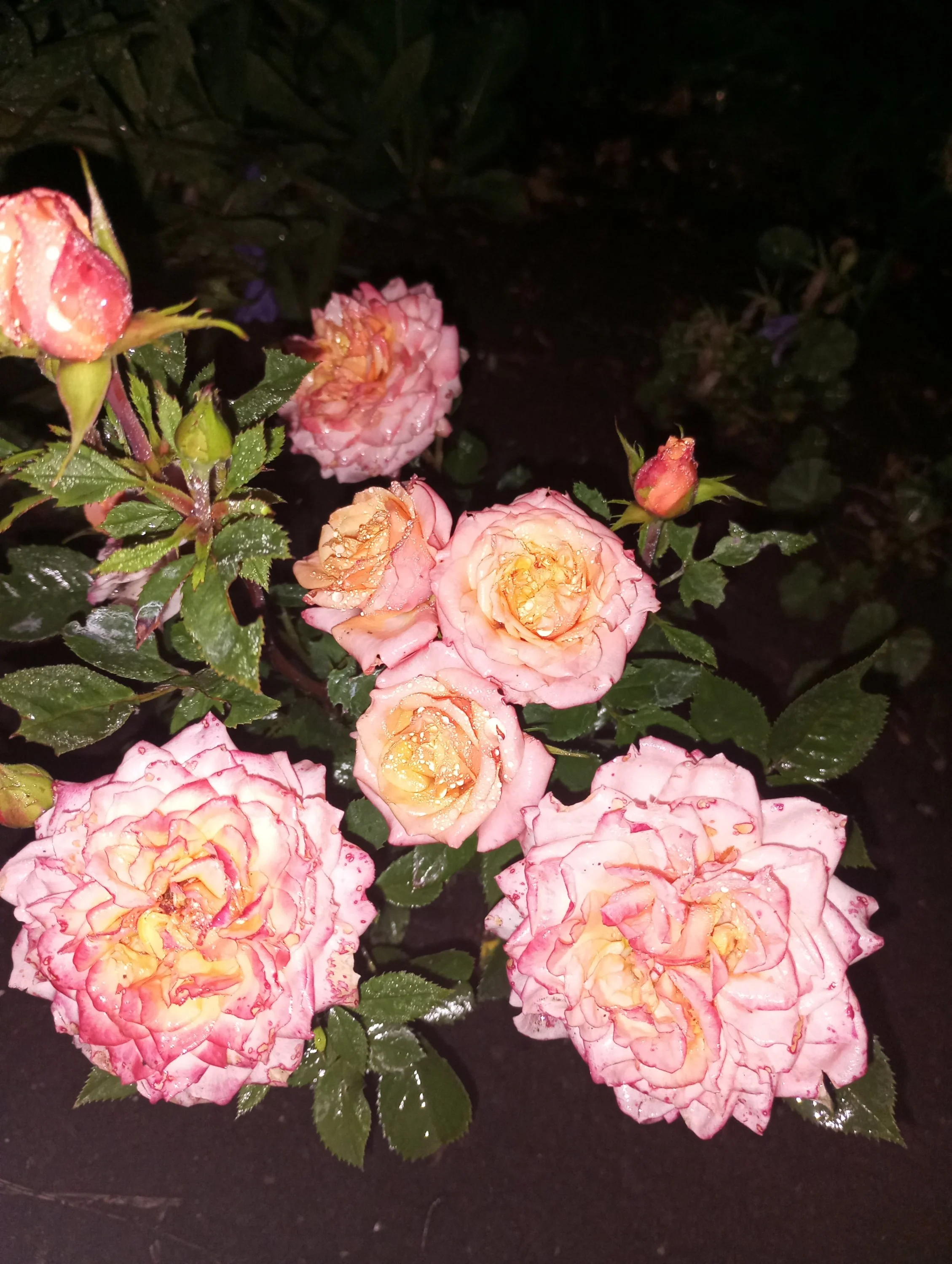 2023-06-27 21-23-34.webp