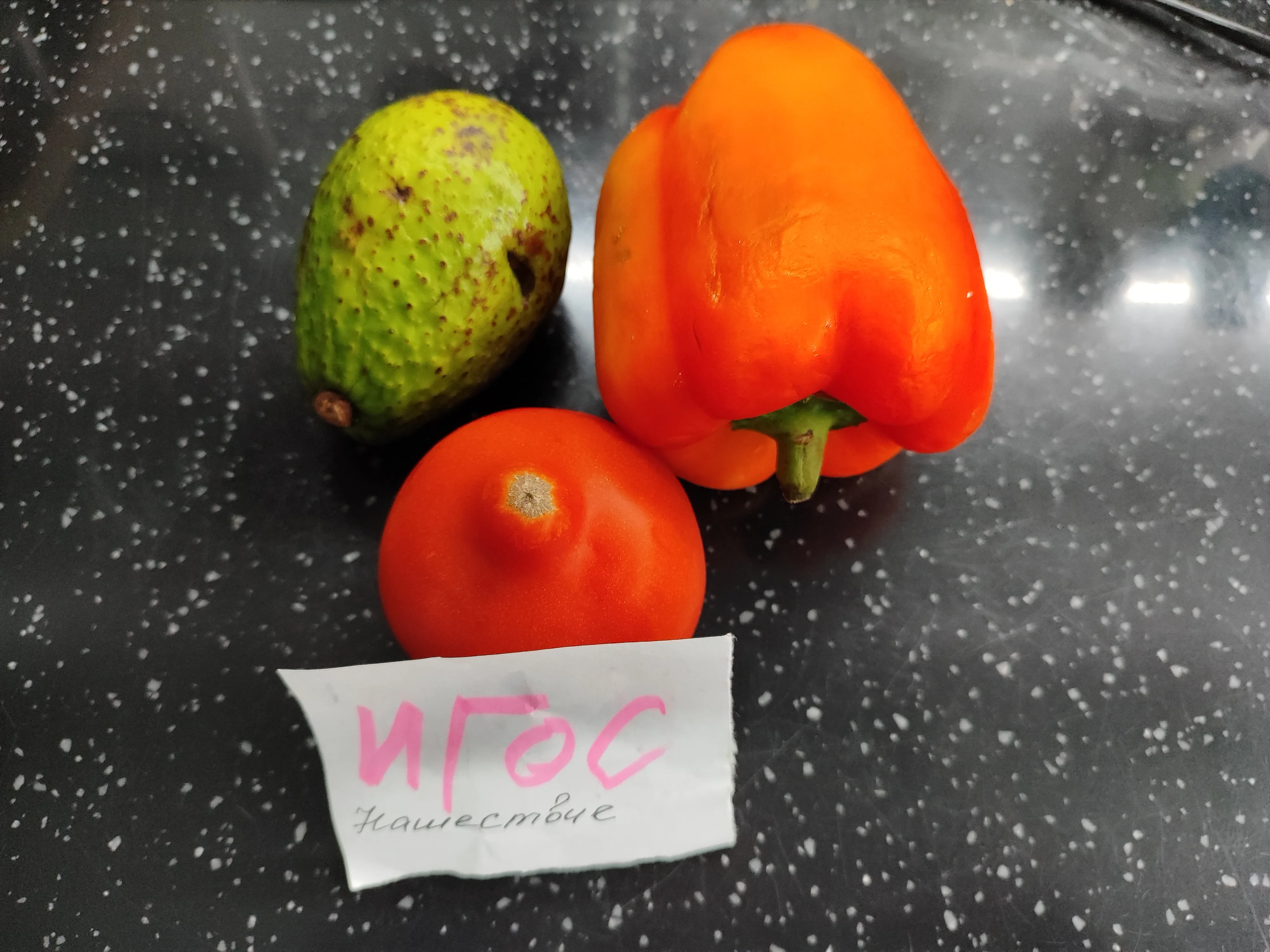 2023-06-30 18-50-58.webp