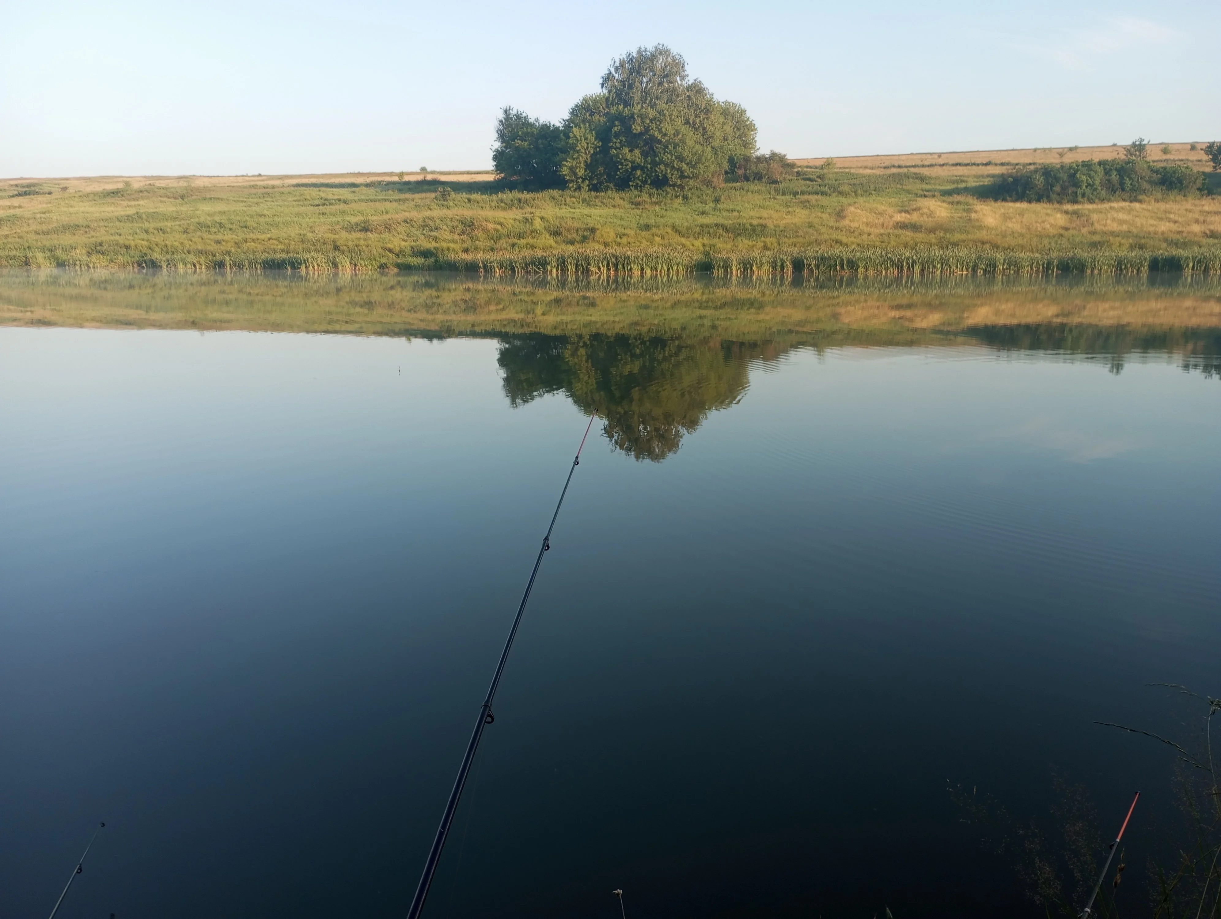 2023-07-06 05-42-05.webp