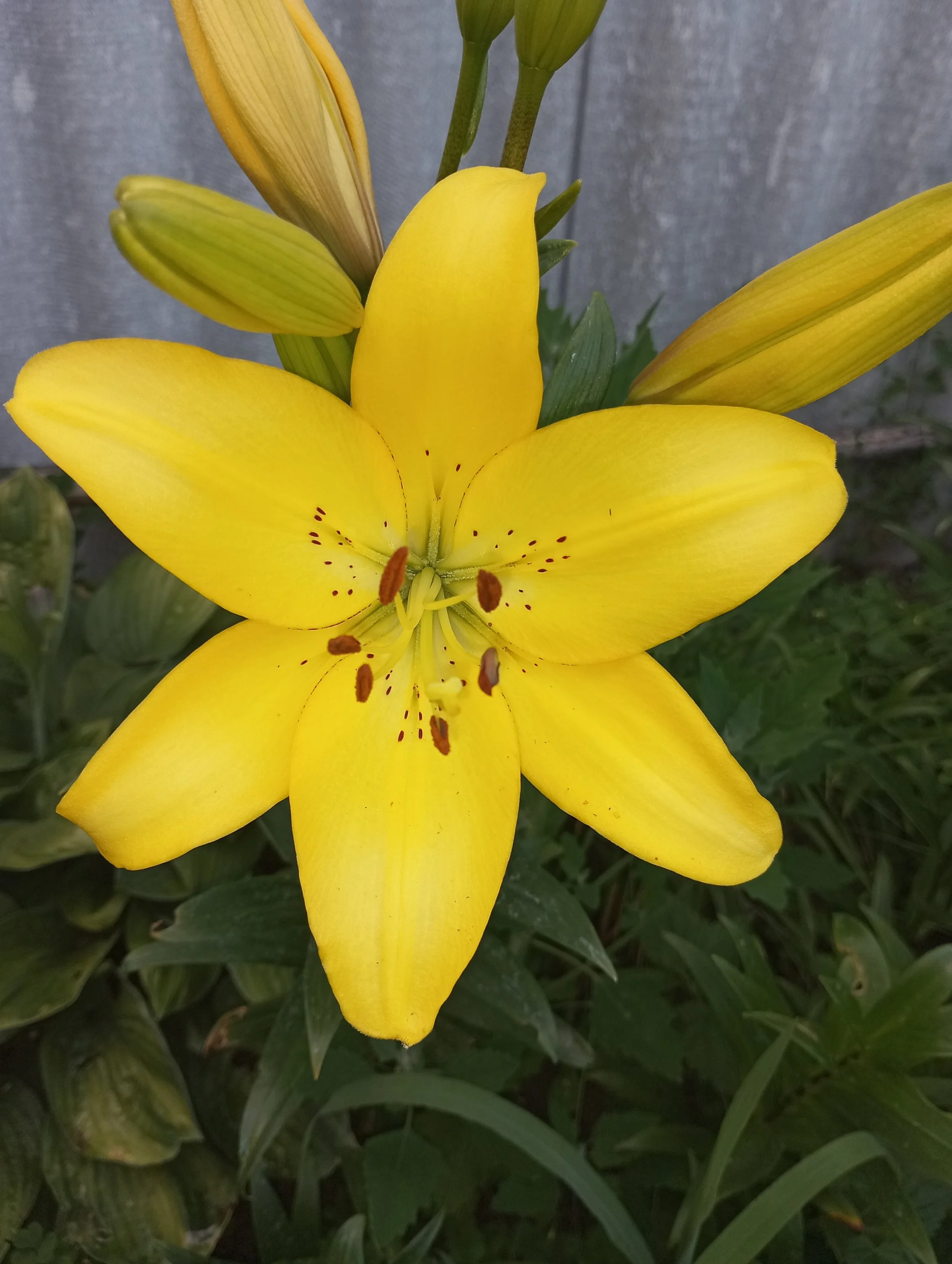 2023-07-07 18-48-38.webp